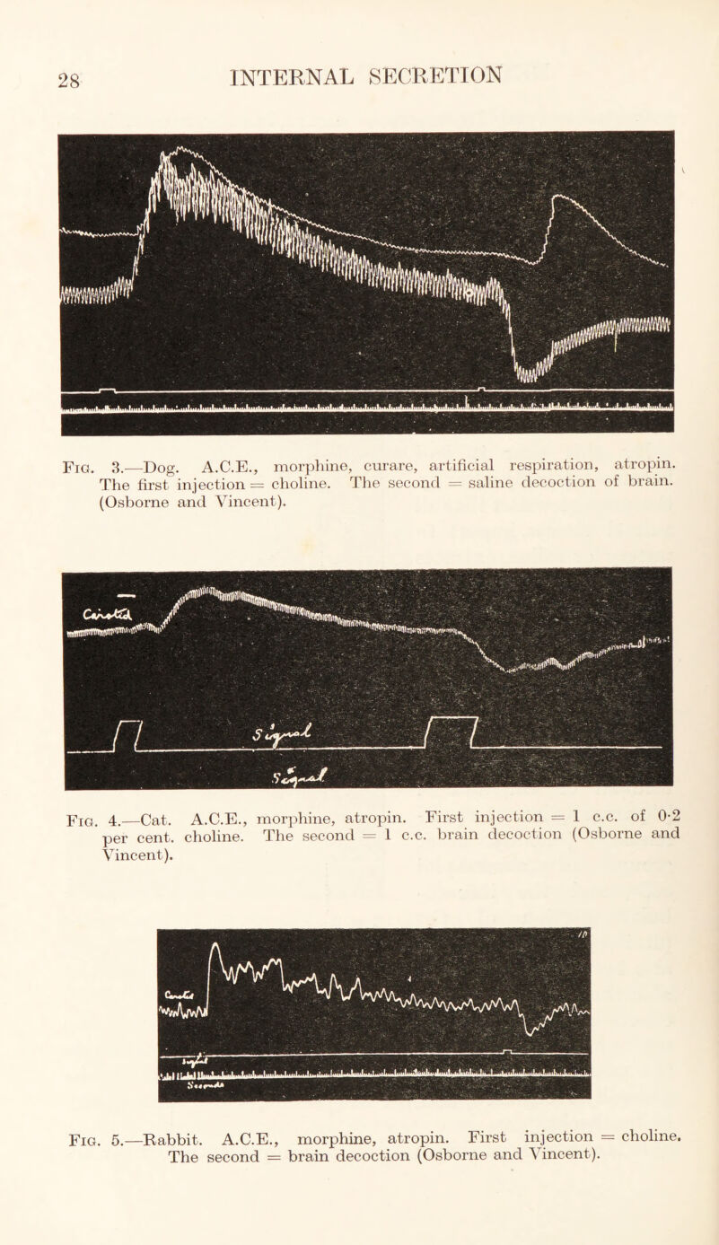 Fig. 3.—Dog. A.C.E., morphine, curare, artificial respiration, atropin. The first injection = choline. The second = saline decoction of brain. (Osborne and Vincent). Fig. 4.—Cat. A.C.E., morphine, atropin. First injection = 1 c.c. of 0-2 per cent, choline. The second = 1 c.c. brain decoction (Osborne and Vincent). Fig. 5.—Babbit. A.C.E., morphine, atropin. First injection = choline. The second = brain decoction (Osborne and Vincent).