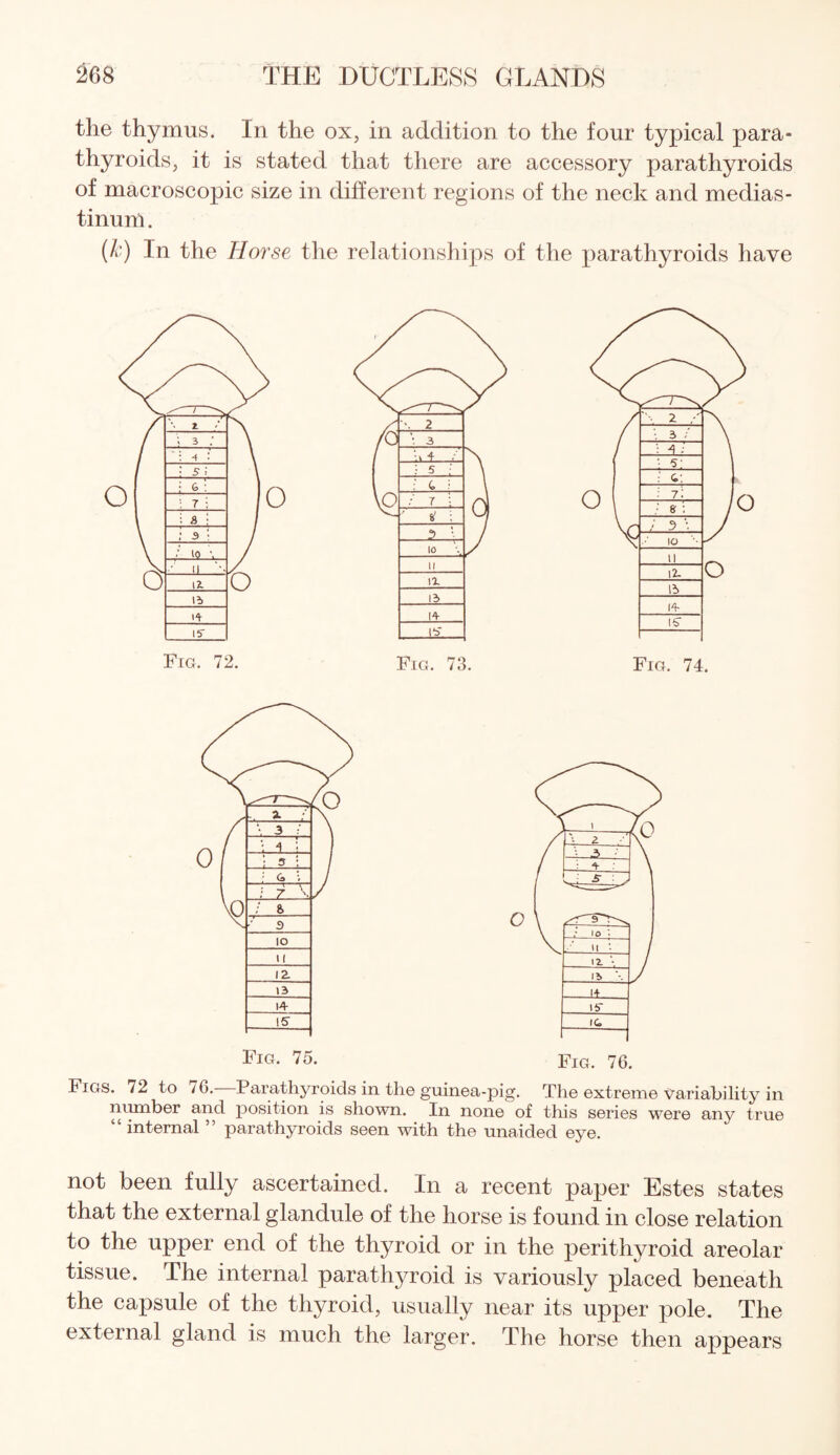 the thymus. In the ox, in addition to the four typical para¬ thyroids, it is stated that there are accessory parathyroids of macroscopic size in different regions of the neck and medias¬ tinum. (k) In the Horse the relationships of the parathyroids have Figs. 72 to /G. Parathyroids in the guinea-pig. The extreme variability in number and position is shown. In none of this series were any true internal parathyroids seen with the unaided eye. not been fully ascertained. In a recent paper Estes states that the external glandule of the horse is found in close relation to the upper end of the thyroid or in the perithyroid areolar tissue. The internal parathyroid is variously placed beneath the capsule of the thyroid, usually near its upper pole. The external gland is much the larger. The horse then appears