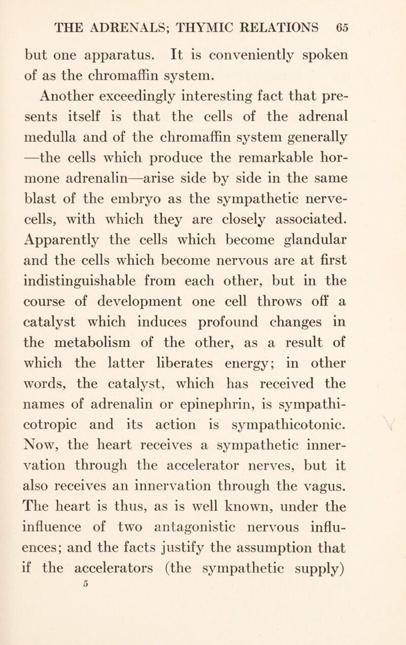 but one apparatus. It is conveniently spoken of as the chromaffin system. Another exceedingly interesting fact that pre¬ sents itself is that the cells of the adrenal medulla and of the chromaffin system generally —the cells which produce the remarkable hor¬ mone adrenalin—arise side by side in the same blast of the embryo as the sympathetic nerve- cells, with which they are closely associated. Apparently the cells which become glandular and the cells which become nervous are at first indistinguishable from each other, but in the course of development one cell throws off a catalyst which induces profound changes in the metabolism of the other, as a result of which the latter liberates energy; in other words, the catalyst, which has received the names of adrenalin or epinephrin, is sympathi¬ cotropic and its action is sympathicotonic. Now, the heart receives a sympathetic inner¬ vation through the accelerator nerves, but it also receives an innervation through the vagus. The heart is thus, as is well known, under the influence of two antagonistic nervous influ¬ ences; and the facts justify the assumption that if the accelerators (the sympathetic supply)