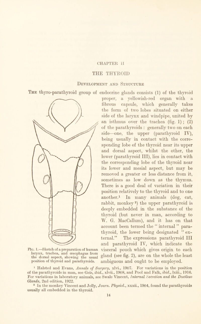 CHAPTER II THE THYROID Development and Structure The thyro-para thyroid group of endocrine glands consists (1) of the thyroid proper, a yellowish-red organ with a fibrous capsule, which generally takes the form of two lobes situated on either side of the larynx and windpipe, united by an isthmus over the trachea (fig. 1) ; (2) of the parathyroids : generally two on each side—one, the upper (parathyroid IY), being usually in contact with the corre¬ sponding lobe of the thyroid near its upper and dorsal aspect, whilst the other, the lower (parathyroid III), lies in contact with the corresponding lobe of the thyroid near its lower and mesial aspect, but may be removed a greater or less distance from it, sometimes as low down as the thymus. There is a good deal of variation in their position relatively to the thyroid and to one another.1 In many animals (dog, cat, rabbit, monkey 2) the upper parathyroid is deeply embedded in the substance of the thyroid (but never in man, according to W. G. MacCallum), and it has on that account been termed the “ internal55 para¬ thyroid, the lower being designated “ ex¬ ternal.” The expressions parathyroid III and parathyroid IV, which indicate the Fig. 1.—Sketch of a preparation of human visceral pouch which gives origin to each larynx, trachea, and oesophagus from 1 , n o\ i i ,1 i , the dorsal aspect, showing the usual gland (see % 2)> are 0n the whole the least position of thyroid and parathyroids, ambiguous and ought to be employed. 1 Halsted and Evans, Annals of Surgery, xlvi., 1907. For variations in the position of the parathyroids in man, see Geis, ibid., xlvii., 1908, and Pool and Falk, ibid., Ixiii., 1916. For variations in laboratory animals, see Swale Vincent, Internal Secretion and the Ductless Glands, 2nd edition, 1922. 2 In the monkey Vincent and Jolly, Journ. Physiol., xxxii., 1904, found the parathyroids usually all embedded in the thyroid.