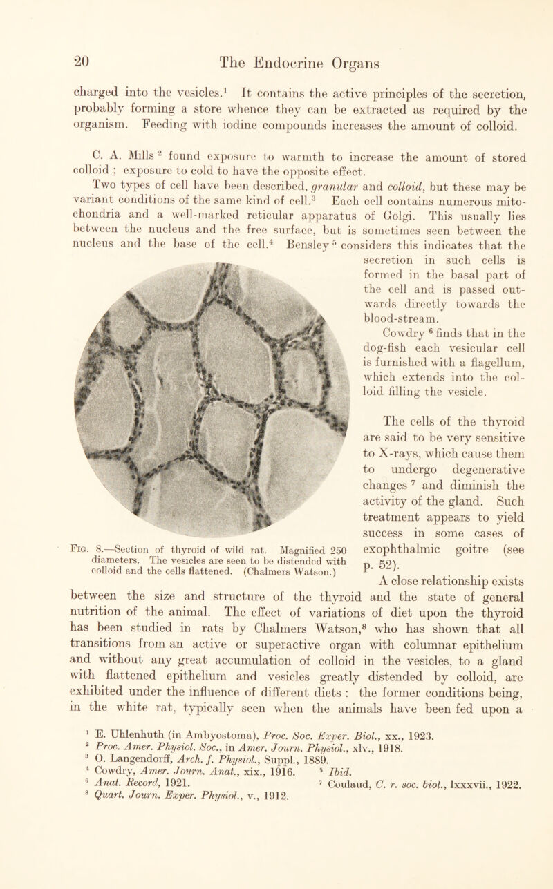 charged into the vesicles.1 it contains the active principles of the secretion, probably forming a store whence they can be extracted as required by the organism. Feeding with iodine compounds increases the amount of colloid. C. A. Mills 2 found exposure to warmth to increase the amount of stored colloid ; exposure to cold to have the opposite effect. Two types of cell have been described, granular and colloid, but these may be variant conditions of the same kind of cell.3 Each cell contains numerous mito¬ chondria and a well-marked reticular apparatus of Golgi. This usually lies between the nucleus and the free surface, but is sometimes seen between the nucleus and the base of the cell.4 Bensley5 considers this indicates that the secretion in such cells is formed in the basal part of the cell and is passed out¬ wards directly towards the blood-stream. Cowdry 6 finds that in the dog-fish each vesicular cell is furnished with a flagellum, which extends into the col¬ loid filling the vesicle. The cells of the thyroid are said to be very sensitive to X-rays, which cause them to undergo degenerative changes 7 and diminish the activity of the gland. Such treatment appears to yield success in some cases of exophthalmic goitre (see p. 52). A close relationship exists between the size and structure of the thyroid and the state of general nutrition of the animal. The effect of variations of diet upon the thyroid has been studied in rats by Chalmers Watson,8 who has shown that all transitions from an active or superactive organ with columnar epithelium and without any great accumulation of colloid in the vesicles, to a gland with flattened epithelium and vesicles greatly distended by colloid, are exhibited under the influence of different diets : the former conditions being, in the white rat, typically seen when the animals have been fed upon a Fig. 8.—Section of thyroid of wild rat. Magnified 250 diameters. The vesicles are seen to be distended with colloid and the cells flattened. (Chalmers Watson.) 1 E. Uhlenhuth (in Ambyostoma), Proc. Soc. Exper. Biol., xx., 1923. 2 Proc. Amer. Physiol. Soc., in Amer. Journ. Physiol., xlv., 1918. 3 O. Langendorff, Arch. f. Physiol., Suppl., 1889. 4 Cowdry, Amer. Journ. Anat., xix., 1916. 5 Ibid. (> Anat. Record, 1921. 7 Coulaud, C. r. soc. biol., lxxxvii., 1922. 8 Quart. Journ. Exper. Physiol., v., 1912.