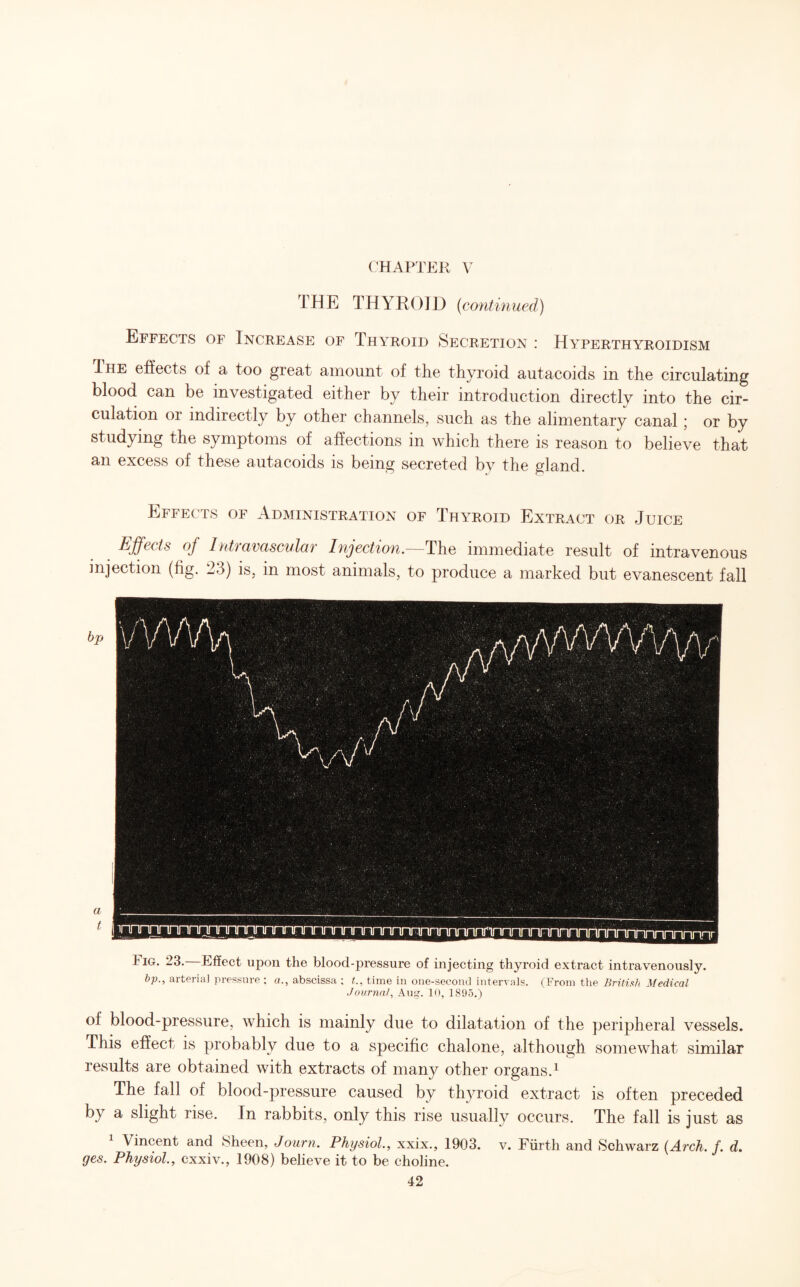 CHAPTER V THE THYROID (continued) Effects of Increase of Thyroid Secretion : Hyperthyroidism The effects of a too great amount of the thyroid autacoids in the circulating blood can be investigated either by their introduction directly into the cir¬ culation or indirectly by other channels, such as the alimentary canal ; or by studying the symptoms of affections in which there is reason to believe that an excess of these autacoids is being secreted by the gland. Effects of Administration of Thyroid Extract or Juice Effects of IhtTuvusculoT Injection. The immediate result of intravenous injection (fig. 23) is, in most animals, to produce a marked but evanescent fall bp a t tiG. 23. Effect upon the blood-pressure of injecting thyroid extract intravenously. bp., arterial pressure ; a., abscissa ; t., time in one-second intervals. (From the British Medical Journal, Aug. 10, 1895.) of blood-pressure, which is mainly due to dilatation of the peripheral vessels. This effect is probably due to a specific chalone, although somewhat similar results are obtained with extracts of many other organs.1 The fall of blood-pressure caused by thyroid extract is often preceded by a slight rise. In rabbits, only this rise usually occurs. The fall is just as 1 Vincent and Sheen, Journ. Physiol., xxix., 1903. v. Fiirth and Schwarz (Arch. f. d. ges. Physiol., cxxiv., 1908) believe it to be choline.