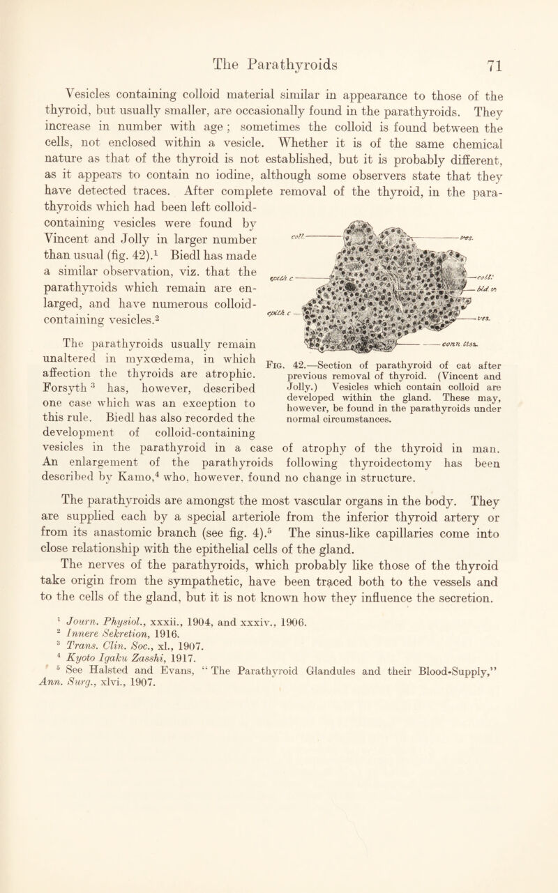 Vesicles containing colloid material similar in appearance to those of the thyroid, but usually smaller, are occasionally found in the parathyroids. They increase in number with age ; sometimes the colloid is found between the cells, not enclosed within a vesicle. Whether it is of the same chemical nature as that of the thyroid is not established, but it is probably different, as it appears to contain no iodine, although some observers state that they have detected traces. After complete removal of the thyroid, in the para¬ thyroids which had been left colloid- containing vesicles were found by Vincent and Jolly in larger number than usual (fig. 42).1 Biedl has made a similar observation, viz. that the parathyroids which remain are en¬ larged, and have numerous colloid- containing vesicles.2 The parathyroids usually remain unaltered in myxoedema, in which affection the thyroids are atrophic. Forsyth3 has, however, described one case which was an exception to this rule. Biedl has also recorded the development of colloid-containing vesicles in the parathyroid in a case of atrophy of the thyroid in man. An enlargement of the parathyroids following thyroidectomy has been described by Kamo,4 who, however, found no change in structure. The parathyroids are amongst the most vascular organs in the body. They are supplied each by a special arteriole from the inferior thyroid artery or from its anastomic branch (see fig. 4).5 The sinus-like capillaries come into close relationship with the epithelial cells of the gland. The nerves of the parathyroids, which probably like those of the thyroid take origin from the sympathetic, have been traced both to the vessels and to the cells of the gland, but it is not known how they influence the secretion. 1 Journ. Physiol., xxxii., 1904, and xxxiv., 1906. 2 Innere Sekretion, 1916. 3 Trans. Clin. Soc., xl., 1907. 4 Kyoto Igaku Zasshi, 1917. 0 See Halsted and Evans, “ The Parathyroid Glandules and their Blood-Supply,” Ann. Surg., xlvi., 1907. con. SPi£/i c cpc tA c vcs. conn Us^. Fig. 42.—Section of parathyroid of cat after previous removal of thyroid. (Vincent and Jolly.) Vesicles which contain colloid are developed within the gland. These may, however, be found in the parathyroids under normal circumstances.