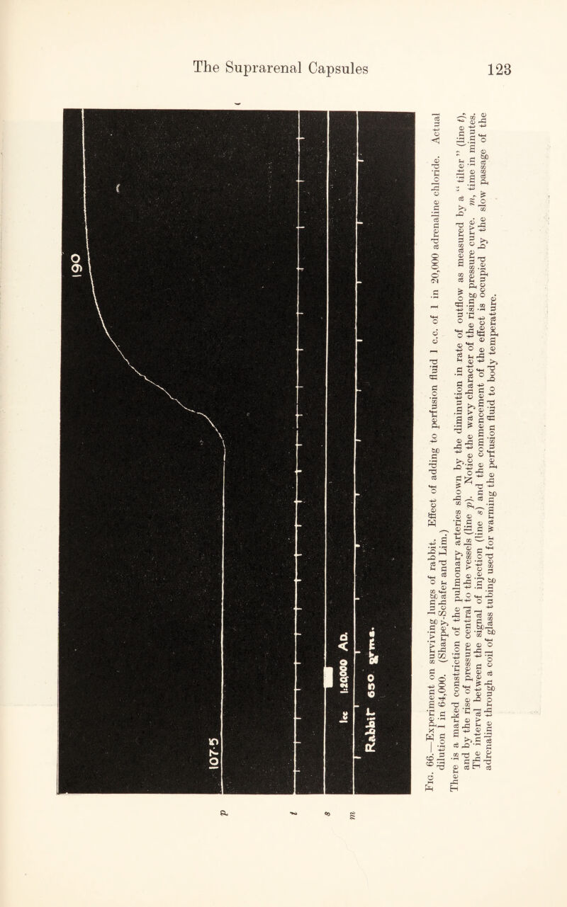 5 -+-> © © GS • rH G o G © CD G • r-H G © f-t T3 eg O O O #N O © 6 G G G O • rH CO G *t! © ft bD G • rH G G eg ■+3 © © so G G eg Sh © CO H—i bD eg G ft G o < CO ft ft S3 Sh <©H o bC G fc> Sh G cc G O +3 G © ft Sh eg -G CO O © o £ CO 'C G Q) • fH g- « § I f CD Gh 6 M Ph © G m © +-> G G © ft r s Sh © © s ^ © bD eg CO 50 eg ft eg >3 ft G © Sh G to eg © SO ** r-H CO a? c$ £ o G ©3 G O © l> © G © © Sh G to to £ ft bD G * fH 02 © ft +3 ft G © • fH ft G © © O to ©3 © © © © Sh G ©3 eg Sh © Ph © ©3 eg Sh O © h c£ G o • rH ©3 G G • pH a © ft 43 43 © eg Sh eg G © P‘3 > c3 £ © G ©3 © >» « G 43 G £ o G 02 CO © • rH Sh © ©3 © s3 O Sh. © G ©3 G © £ © © G © £ £ o © © G 43 G G eg © 43 >3 G O G O ©3 G • rH G G G O • rH GO 2 HH rr © Ph © G 43 bD 02 , © >i <£ © G 43 G O • rH O • rH Ph CO £ O o T* 0) r^ Ph c£ CO 0) > <D rS +2 c3 Ph C <D O © Ph S3 c/j CO £ & fi Sh © eg G £ • rr o G ^ O G • rt © o 3 © bD G • rH rO S3 oo CO 3^ bD © G ©3 G © © £ ©3 © G O © eg eg to • rH © Sh © G Eh eg > Sh © 43 >3 G G • © G 43 G G eg © G H bD G O Sh G 43 © _G eg G © Sh G eg t s
