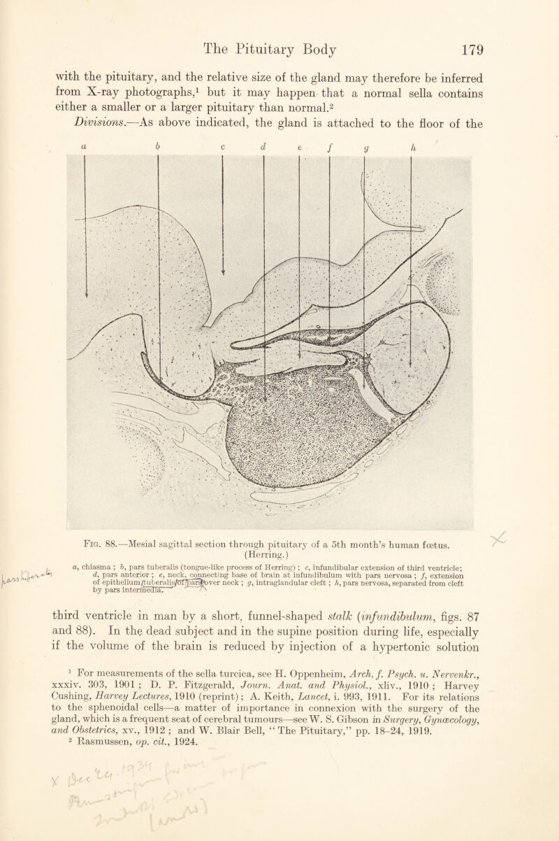 with the pituitary, and the relative size of the gland may therefore be inferred from X-ray photographs,^ but it may happen that a normal sella contains either a smaller or a larger pituitary than normal.^ Divisions.—As above indicated, the gland is attached to the floor of the a b c d e f y h Fig. 88.—Mesial sagittal section through pituitary of a 5th month’s human foetus. (Herring.) a, chiasma ; 6, pars tuberalis (tongue-ltte process of Herring) ; c, infundibular extension of third ventricle; d, pars anterior ; e, neck, connecting base of brain at infundibulum with pars nervosa ; /, extension of epitheliumttutiera]is/SIlpar^over neck ; g, intraglandular cleft; h, pars nervosa, separated from cleft by pars interhiedia. ' third ventricle in man by a short, funnel-shaped stalk (infundibulum, figs. 87 and 88). In the dead subject and in the supine position during life, especially if the volume of the brain is reduced by injection of a hypertonic solution ^ For measurements of the sella turcica, see H. Oppenheim, Arch. f. Psych, u. Nervenlcr., xxxiv. 303, 1901 ; D. P. Fitzgerald, Journ. Anat. and Physiol., xliv., 1910 ; Harvey Cushing, Harvey Lectures, 1910 (reprint); A. Keith, Lancet, i. 993, 1911. For its relations to the sphenoidal cells—a matter of importance in connexion with the surgery of the gland, which is a frequent seat of cerebral tumours—see W. 8. Gibson in Surgery, Gynoecology, and Obstetrics, xv., 1912 ; and W. Blair Bell, “ The Pituitary,” pp. 18-24, 1919. 2 Rasmussen, op. cit, 1924.