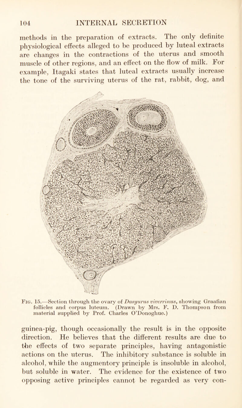 methods in the preparation of extracts. The only definite physiological effects alleged to be produced by luteal extracts are changes in the contractions of the uterus and smooth muscle of other regions, and an effect on the flow of milk. For example, Itagaki states that luteal extracts usually increase the tone of the surviving uterus of the rat, rabbit, dog, and Fig. 15.—Section through the ovary of Dasyurus viverrinus, showing Graafian follicles and corpus luteum. (Drawn by Mrs. F. D. Thompson from material supplied by Prof. Charles O’Donoghue.) guinea-pig, though occasionally the result is in the opposite direction. He believes that the different results are due to the effects of two separate principles, having antagonistic actions on the uterus. The inhibitory substance is soluble in alcohol, while the augmentory principle is insoluble in alcohol, but soluble in water. The evidence for the existence of two opposing active principles cannot be regarded as very con-