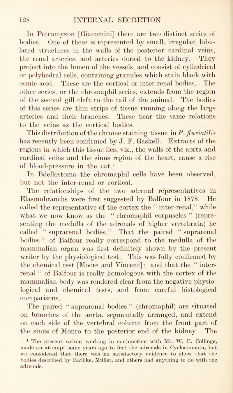 In Petromyzon [Giacomini] there are two distinct series of bodies. One of these is represented by small, irregular, lobu- lated structures in the walls of the posterior cardinal veins, the renal arteries, and arteries dorsal to the kidney. They project into the lumen of the vessels, and consist of cylindrical or polyhedral cells, containing granules which stain black with osmic acid. These are the cortical or inter-renal bodies. The other series, or the chromaphil series, extends from the region of the second gill cleft to the tail of the animal. The bodies of this series are thin strips of tissue running along the large arteries and their branches. These bear the same relations to the veins as the cortical bodies. This distribution of the chrome staining tissue in P. fluviatilis has recently been confirmed by J. F. Gaskell. Extracts of the regions in which this tissue lies, viz., the walls of the aorta and cardinal veins and the sinus region of the heart, cause a rise of blood-pressure in the cat.^ In Bdellostoma the chromaphil cells have been observed, but not the inter-renal or cortical. The relationships of the two adrenal representatives in Elasmobranchs were first suggested by Balfour in 1878. He called the representative of the cortex the ‘‘ inter-renal,” while what we now know as the chromaphil corpuscles ” (repre¬ senting the medulla of the adrenals of higher vertebrata) he called suprarenal bodies.” That the paired “ suprarenal bodies ” of Balfour really correspond to the medulla of the mammalian organ was first definitely shown by the present writer by the physiological test. This was fully confirmed by the chemical test [Moore and Vincent] ; and that the inter- renal ” of Balfour is really homologous with the cortex of the mammalian body was rendered clear from the negative physio¬ logical and chemical tests, and from careful histological comparisons. The paired “ suprarenal bodies ” (chromaphil) are situated on branches of the aorta, segmentally arranged, and extend on each side of the vertebral column from the front part of the sinus of Monro to the posterior end of the kidney. The ^ The present writer, working in conjunction with Mr. W. E. Collinge, made an attempt some years ago to find the adrenals in Cyclostomata, but we considered that there was no satisfactory evidence to show that the bodies described by Rathke, Miiller, and others had anything to do with the adrenals.