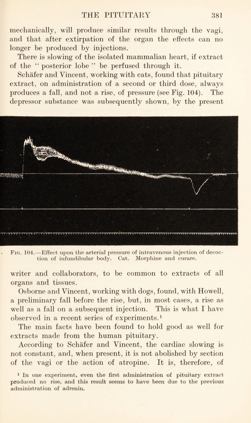 mechanically, will produce similar results through the vagi, and that after extirpation of the organ the effects can no longer be produced by injections. There is slowing of the isolated mammalian heart, if extract of the “ posterior lobe ” be perfused through it. Schafer and Vincent, working with cats, found that pituitary extract, on administration of a second or third dose, always produces a fall, and not a rise, of pressure (see Fig. 104). The depressor substance was subsequently shown, by the present Fig. 104.—Effect upon the arterial pressure of intravenous injection of decoc¬ tion of infundibular body. Cat. Morphine and curare. writer and collaborators, to be common to extracts of all organs and tissues. Osborne and Vincent, working with dogs, found, with Howell, a preliminary fall before the rise, but, in most cases, a rise as well as a fall on a subsequent injection. This is what I have observed in a recent series of experiments.^ The main facts have been found to hold good as well for extracts made from the human pituitary. According to Schafer and Vincent, the cardiac slowing is not constant, and, when present, it is not abolished by section of the vagi or the action of atropine. It is, therefore, of 1 In one experiment, even the first administration of pituitary extract produced no rise, and this result seems to have been due to the previous administration of adrenin.