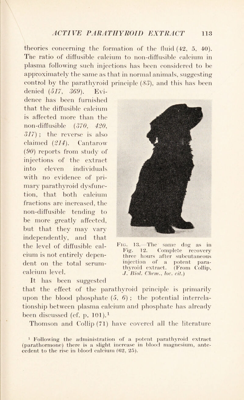 theories concerning the formation of the fluid (42, 5, 40). The ratio of diffusible calcium to non-diffusible calcium in plasma following such injections has been considered to be approximately the same as that in normal animals, suggesting control by the parathyroid principle (83), and this has been denied (517, 369). Evi¬ dence has been furnished that the diffusible calcium is affected more than the non-diffusible (370. 420, 317) ; the reverse is also claimed (214). Cantarow (90) reports from study of injections of the extract into eleven. individuals with no evidence of pri¬ mary parathyroid dysfunc¬ tion, that both calcium fractions are increased, the non-diffusible tending to be more greatly affected, but that thev may varv independently, and that the level of diffusible cal¬ cium is not entirely depen¬ dent on the total serum- calcium level. It has been suggested that the effect of the parathyroid principle is primarily upon the blood phosphate (5, 6) ; the potential interrela¬ tionship between plasma calcium and phosphate has already been discussed (cf. p. 101).1 Thomson and Collip (71) have covered all the literature 1 Following the administration of a potent parathyroid extract (parathormone) there is a slight increase in blood magnesium, ante¬ cedent to the rise in blood calcium (62, 25). Fig. 13.—1The same dog as in Fig. 12. Complete recovery three hours after subcutaneous injection of a potent para¬ thyroid extract. (From Collip, ./. Biol. Chon., loc. cit.)