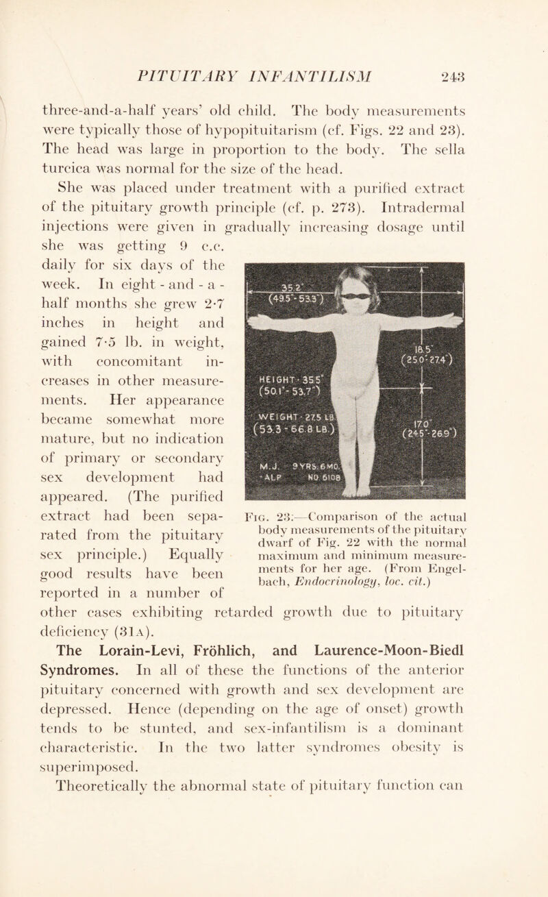 three-and-a-half years’ old child. The body measurements were typically those of hypopituitarism (cf. Figs. 22 and 23). The head was large in proportion to the body. The sella turcica was normal for the size of the head. She was placed under treatment with a purified extract of the pituitary growth principle (ef. p. 273). Intradermal injections were given in gradually increasing dosage until she was getting 9 c.e. daily for six days of the week. In eight - and - a - half months she grew 2-7 inches in height and gained 7*5 lb. in weight, with concomitant in¬ creases in other measure¬ ments. Her appearance became somewhat more mature, but no indication of primary or secondary sex development had appeared. (The purified extract had been sepa¬ rated from the pituitary sex principle.) Equally good results have been reported in a number of other cases exhibiting retarded growth due to pituitary deficiency (31a). The Lorain-Levi, Frohlich, and Laurence-Moon-Biedl Syndromes. In all of these the functions of the anterior pituitary concerned with growth and sex development are depressed. Hence (depending on the age of onset) growth tends to be stunted, and sex-infantilism is a dominant characteristic. In the two latter syndromes obesity is superimposed. Theoretically the abnormal state of pituitary function can Fig. 23.—Comparison of the actual body measurements of the pituitary dwarf of Fig. 22 with the normal maximum and minimum measure¬ ments for her age. (From Engel- bach, Endocrinology, loc. cit.)