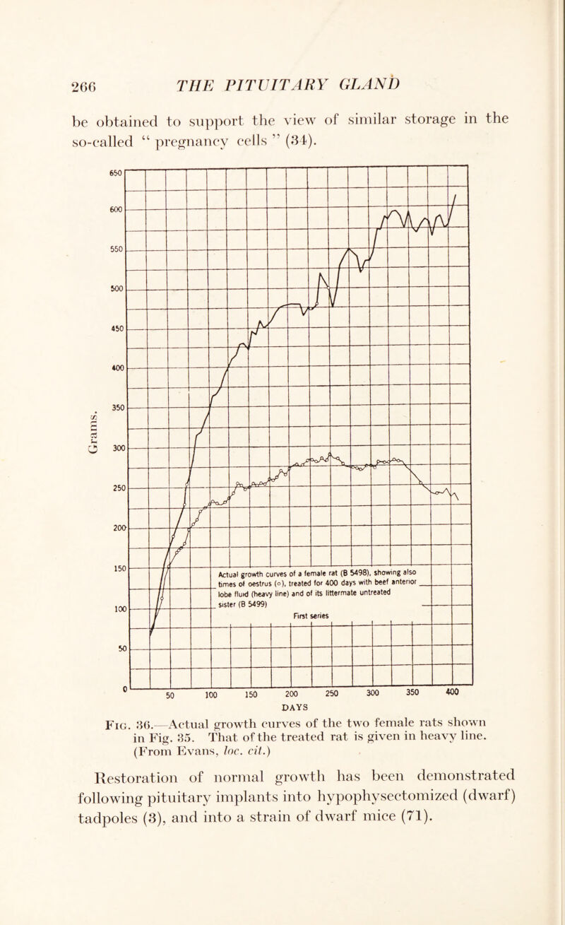 be obtained to support the view of similar storage in the so-called “ pregnancy cells ” (34). Fig. 86.—Actual growth curves of the two female rats shown in Fig. 35. That of the treated rat is given in heavy line. (From Evans, Inc. cit.) Restoration of normal growth has been demonstrated following pituitary implants into hvpophysectomized (dwarf) tadpoles (3), and into a strain of dwarf mice (71).