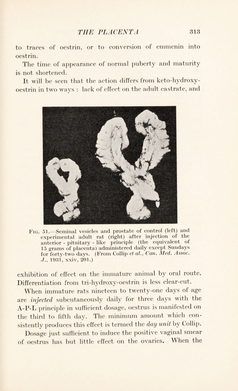 to traces of oestrin, or to conversion of emmenin into oestrin. The time of appearance of normal puberty and maturity is not shortened. It will be seen that the action differs from keto-hydroxy- oestrin in two wavs : lack of effect on the adult castrate, and Fig. 51.—Seminal vesicles and prostate of control (left) and experimental adult rat (right) after injection of the anterior - pituitary - like principle (the equivalent of 15 grams of placenta) administered daily except Sundays for forty-two days. (From Collip et al., Can. Med. Assoc. ./., 1931, xxiv, 201.) exhibition of effect on the immature animal by oral route. Differentiation from tri-hydroxy-oestrin is less clear-cut. When immature rats nineteen to twenty-one days of age are injected subcutaneously daily for three days with the A-P-L principle in sufficient dosage, oestrus is manifested on the third to fifth day. The minimum amount which con¬ sistently produces this effect is termed the day unit by Collip. Dosage just sufficient to induce the positive vaginal smear of oestrus has but little effect on the ovaries. When the