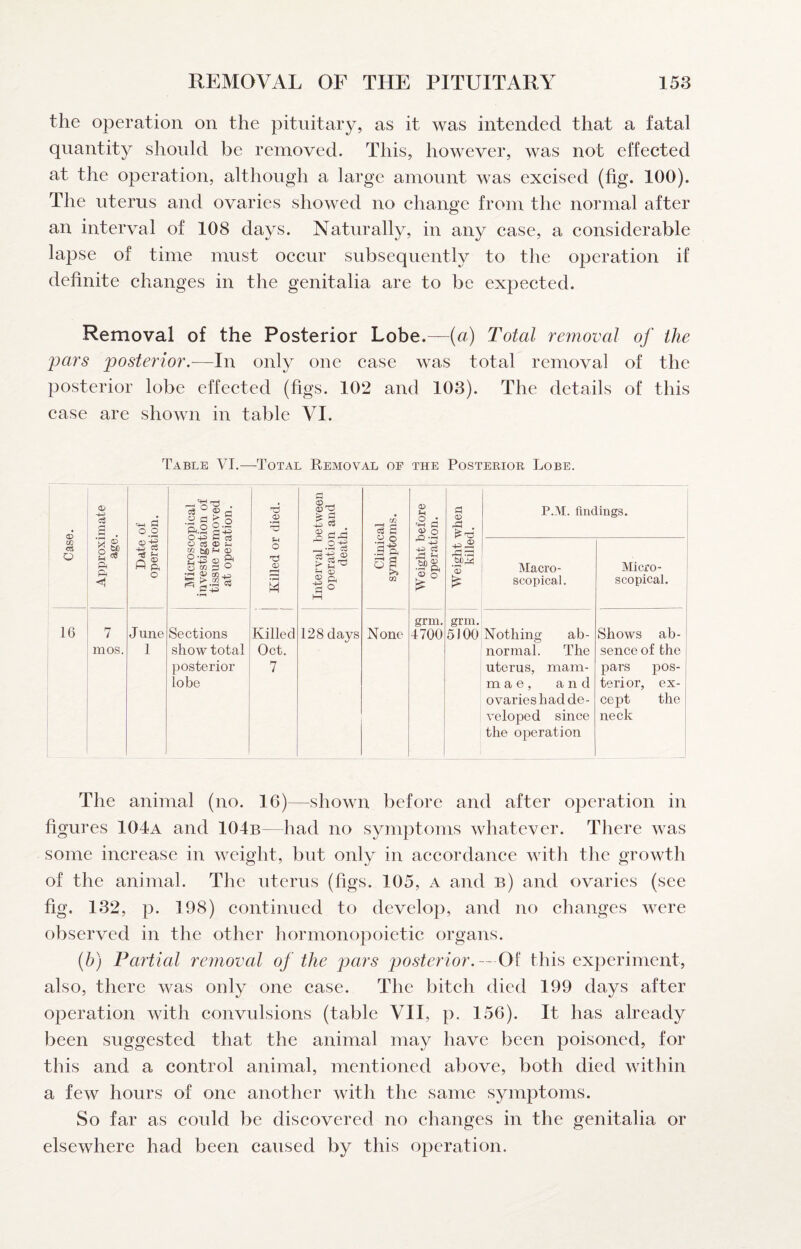 the operation on the pituitary, as it was intended that a fatal quantity slionld he removed. This, however, was not effected at the operation, although a large amount was excised (fig. 100). The uterus and ovaries showed no change from the normal after an interval of 108 days. Naturally, in any case, a considerable lapse of time must oecur subsequently to the operation if definite changes in the genitalia are to be expeeted. Removal of the Posterior Lobe.—(a) Total removal of the pars posterior.—In only one case was total removal of the posterior lobe effected (figs. 102 and 103). The details of this case are shown in table VI. Table VI.—Total Removal of the Posterior Lobe. Case. Approximate age. Date of operation. Microscopical investigation of tissue removed at operation. Killed or died. Interval between operation and death. j Clinical symptoms. Weight before operation. Weight when killed. P.M. findings. Macro- scopical. I Micro¬ scopical. 1 grm. grm. 16 7 June Sections Killed 128 days None 4700 5100 Nothing ah- Shows ab- mos. 1 show total Oct. normal. The sence of the posterior 7 uterus, mam- pars pos- lobe m a e, and terior, ex- ovaries had do- cept the veloped since neck the operation The animal (no. 16)—shown before and after operation in figures 104a and 104b—had no symptoms wliatever. There was some increase in weight, but only in accordance with the growth of the animal. The uterus (figs. 105, a and b) and ovaries (see fig. 132, p. 198) continued to develop, and no changes were observed in the other hormonopoietic organs. {h) Partial removal of the pars p)Osterior.-~ Oi this experiment, also, there was only one case. The bitch died 199 days after operation with convulsions (table VII, p. 156). It has already been suggested that the animal may have been poisoned, for this and a control animal, mentioned above, both died within a few hours of one another with the same symptoms. So far as could be discovered no changes in the genitalia or elsewhere had been caused by this operation.