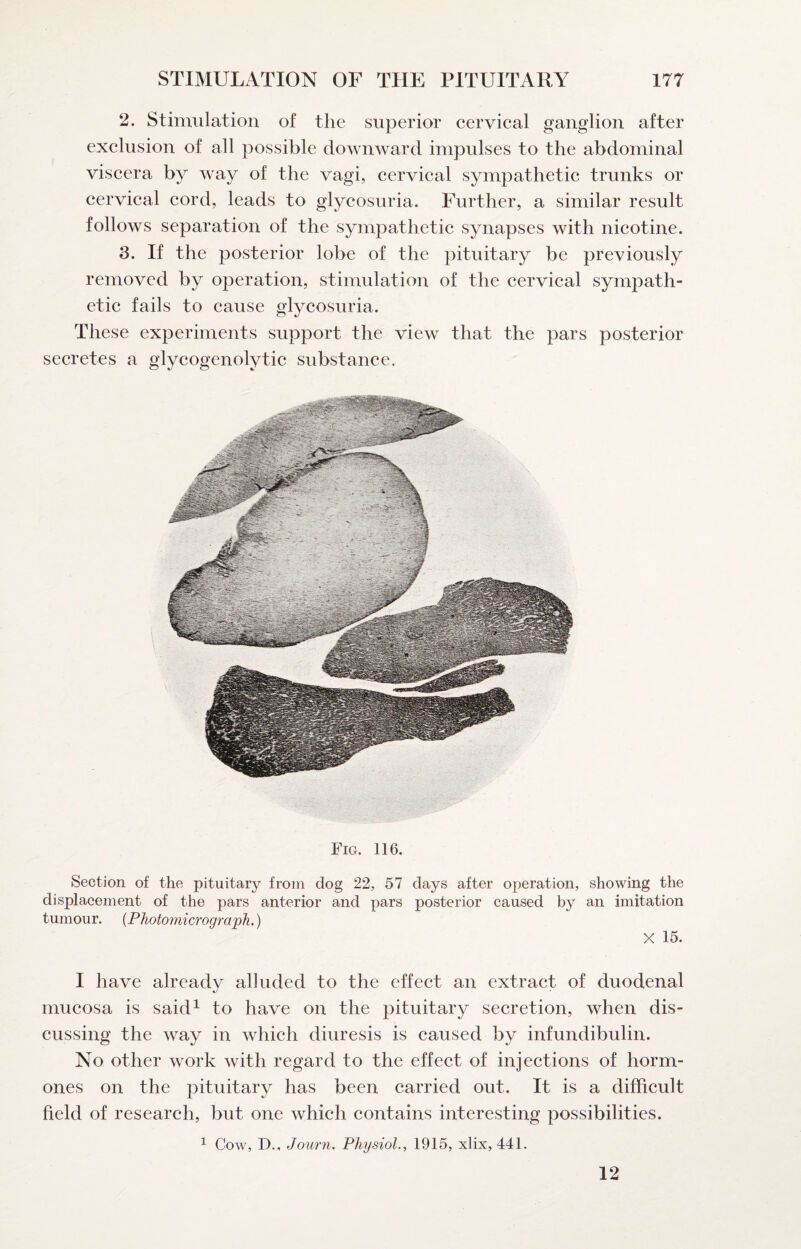 2. Stimulation of the superior eervical ganglion after exelusion of all possible downward impulses to the abdominal viscera by way of the vagi, cervical sympathetic trunks or cervical cord, leads to glycosuria. Further, a similar result follows separation of the sympathetic synapses with nicotine. 3. If the posterior lobe of the pituitary be previously removed by operation, stimulation of the cervical sympath¬ etic fails to cause glycosuria. These experiments support the view that the pars posterior secretes a glycogenolytic substance. Fig. 116. Section of the pituitary from dog 22, 57 days after operation, showing the displacement of the pars anterior and pars posterior caused by an imitation tumour. {Photomicrograph.) X 15. I have already alluded to the effect an extract of duodenal mucosa is said^ to have on the pituitary secretion, when dis¬ cussing the way in which diuresis is caused by infundibulin. No other work with regard to the effect of injections of horm¬ ones on the pituitary has been carried out. It is a difficult field of research, but one which contains interesting possibilities. ^ Cow, I)., Journ. Physiol., 1915, xlix, 441. 12