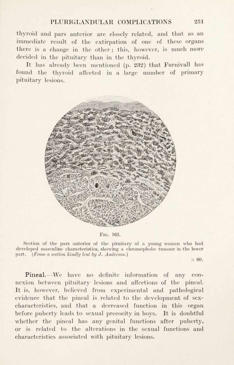 thyroid and pars anterior are closely related, and that as an immediate result of the extirpation of one of these organs there is a change in the other ; this, however, is much more decided in the pituitary than in the thyroid. It has already been mentioned (p. 232) that Furnivall has found the thyroid affected in a large number of primary pituitary lesions. Fig. 168. Section of the pars anterior of the pituitary of a young woman who had developed masculine characteristics, showing a chromophobe tumour in the lower part. {From a section kindly lent hy J. Anderson.) X 60. Pineal.--We have no definite information of any con¬ nexion between pituitary lesions and affections of the pineal. It is, however, believed from experimental and pathological evidence that the pineal is related to the development of sex- characteristics, and that a decreased function in this organ before puberty leads to sexual precocity in boys. It is doubtful whether the pineal has any genital functions after puberty, or is related to the alterations in the sexual functions and characteristics associated with pituitary lesions.