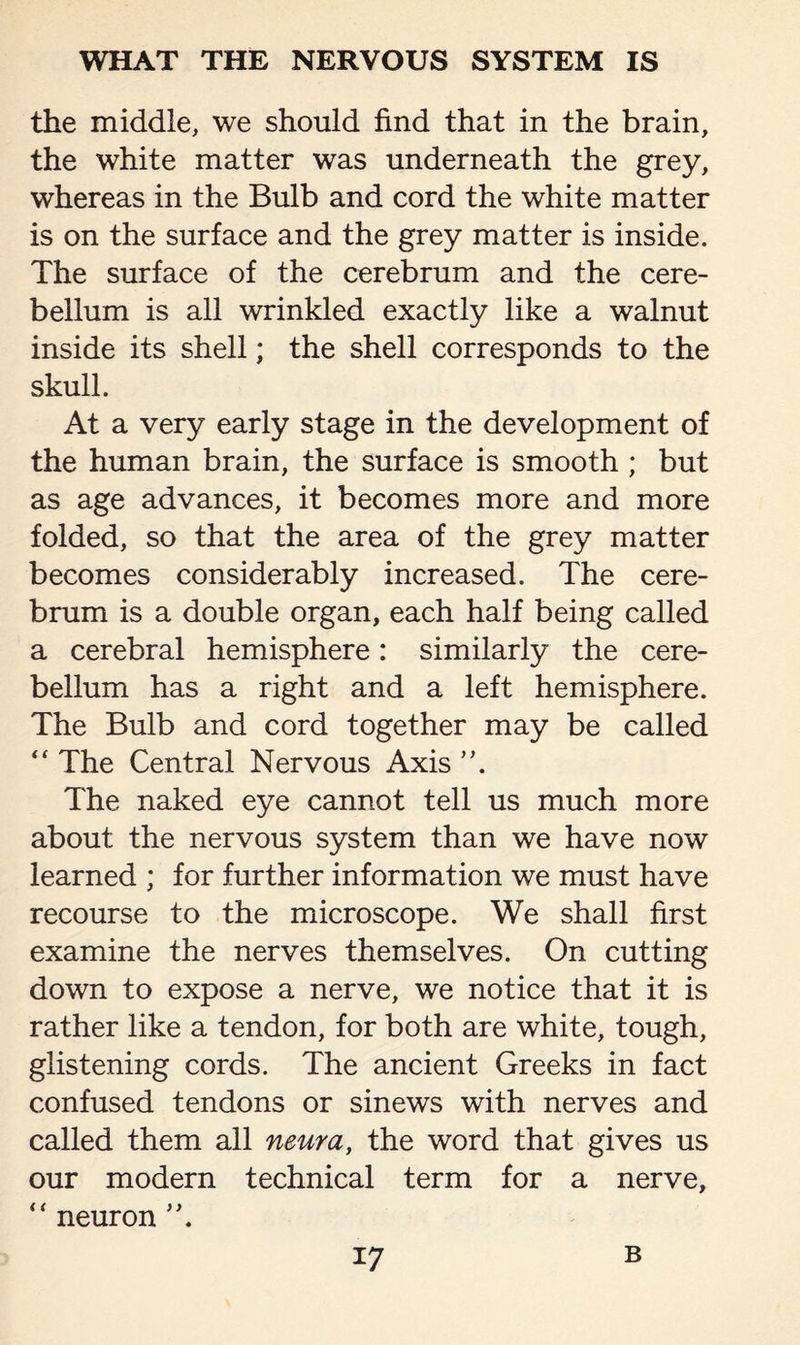 the middle, we should find that in the brain, the white matter was underneath the grey, whereas in the Bulb and cord the white matter is on the surface and the grey matter is inside. The surface of the cerebrum and the cere¬ bellum is all wrinkled exactly like a walnut inside its shell; the shell corresponds to the skull. At a very early stage in the development of the human brain, the surface is smooth ; but as age advances, it becomes more and more folded, so that the area of the grey matter becomes considerably increased. The cere¬ brum is a double organ, each half being called a cerebral hemisphere: similarly the cere¬ bellum has a right and a left hemisphere. The Bulb and cord together may be called “ The Central Nervous Axis The naked eye cannot tell us much more about the nervous system than we have now learned ; for further information we must have recourse to the microscope. We shall first examine the nerves themselves. On cutting down to expose a nerve, we notice that it is rather like a tendon, for both are white, tough, glistening cords. The ancient Greeks in fact confused tendons or sinews with nerves and called them all neura, the word that gives us our modern technical term for a nerve, “ neuron