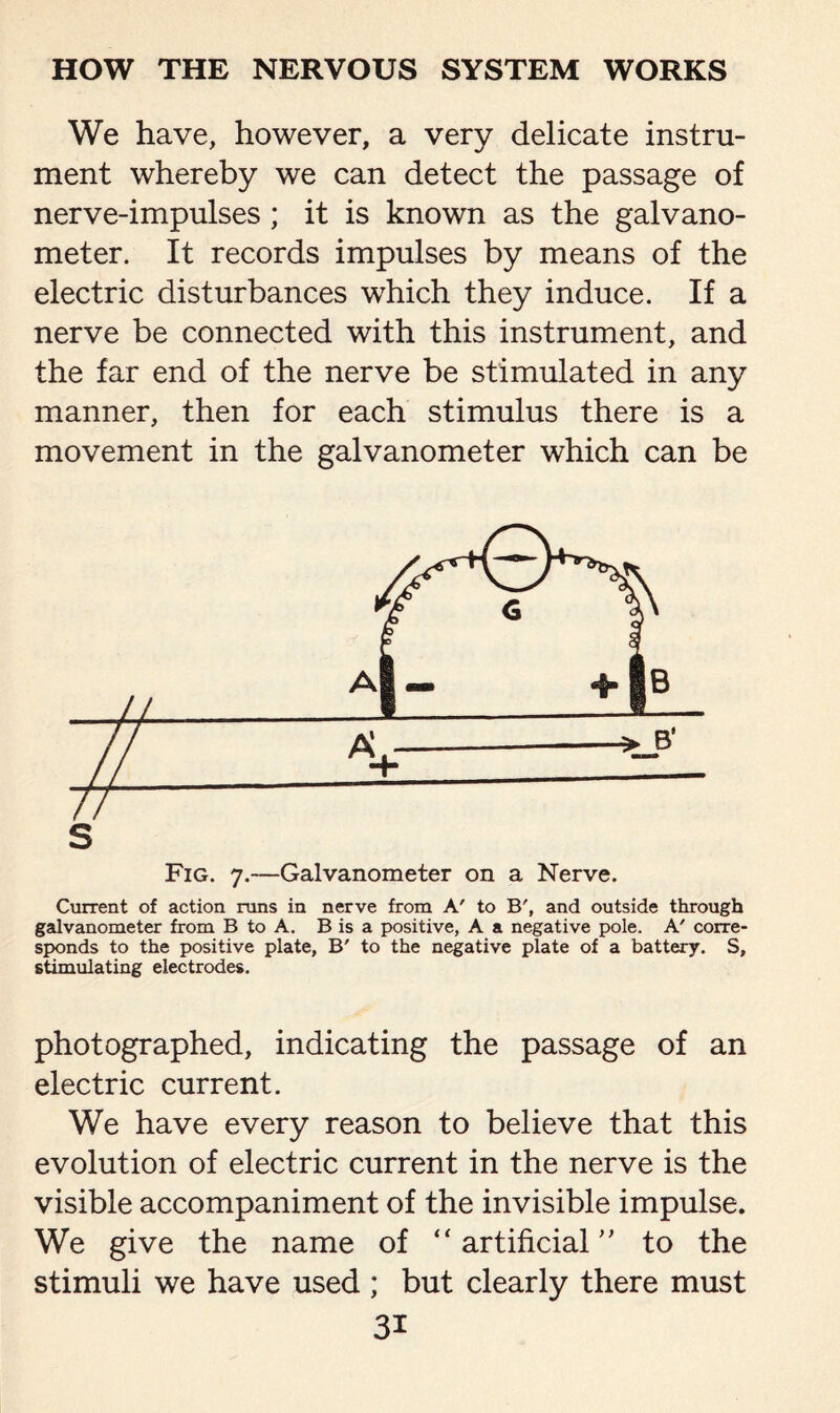 We have, however, a very delicate instru¬ ment whereby we can detect the passage of nerve-impulses ; it is known as the galvano¬ meter. It records impulses by means of the electric disturbances which they induce. If a nerve be connected with this instrument, and the far end of the nerve be stimulated in any manner, then for each stimulus there is a movement in the galvanometer which can be Fig. 7.—Galvanometer on a Nerve. Current of action runs in nerve from A' to B', and outside through galvanometer from B to A. B is a positive, A a negative pole. A' corre¬ sponds to the positive plate, B' to the negative plate of a battery. S, stimulating electrodes. photographed, indicating the passage of an electric current. We have every reason to believe that this evolution of electric current in the nerve is the visible accompaniment of the invisible impulse. We give the name of “ artificial ” to the stimuli we have used ; but clearly there must 3i