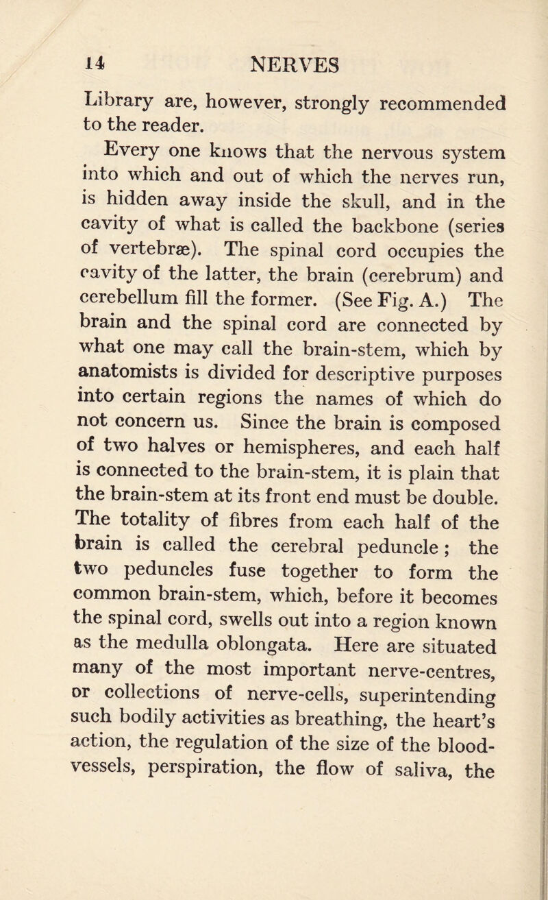 Library are, however, strongly recommended to the reader. Every one knows that the nervous system into which and out of which the nerves run, is hidden away inside the skull, and in the cavity of what is called the backbone (series of vertebrae). The spinal cord occupies the cavity of the latter, the brain (cerebrum) and cerebellum fill the former. (See Fig. A.) The brain and the spinal cord are connected by what one may call the brain-stem, which by anatomists is divided for descriptive purposes into certain regions the names of which do not concern us. Since the brain is composed of two halves or hemispheres, and each half is connected to the brain-stem, it is plain that the brain-stem at its front end must be double. The totality of fibres from each half of the brain is called the cerebral peduncle; the two peduncles fuse together to form the common brain-stem, which, before it becomes the spinal cord, swells out into a region known as the medulla oblongata. Here are situated many of the most important nerve-centres, or collections of nerve-cells, superintending such bodily activities as breathing, the heart’s action, the regulation of the size of the blood¬ vessels, perspiration, the flow of saliva, the