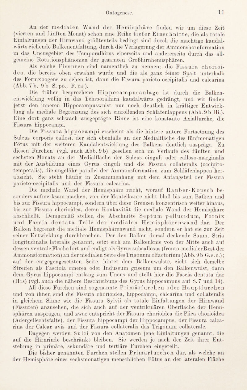 All der medialen Wand der Hemisphäre finden wir um diese Zeit (vierten und fünften Monat) schon eine Keihe tiefer Einschnitte, die als totale Einfaltungen der Hirnwand größtenteils bedingt sind durch die mächtige kaudal- wärts ziehende Balkenentfaltung, durch die Verlagerung der Ammonshornformation in das Uncusgebiet des Temporalhirns einerseits und andererseits durch das all¬ gemeine Rotationsphänomen der gesamten Großhirnhemisphären. Als solche Fissuren sind namentlich zu nennen: die Fissura chorioi- dea, die bereits oben erwähnt wurde und die als ganz feiner Spalt unterhalb des Fornixbogens zu sehen ist, dann die Fissura parieto-occipitalis und calcarina (Abb. 7 b, 9 b S. po., F. ca.). Die früher besprochene Hippocampusanlage ist durch die Balken¬ entwicklung völlig in das Temporalhirn kaudalwärts gedrängt, und wir finden jetzt den inneren Hippocampuswulst nur noch deutlich in kräftiger Entwick¬ lung als mediale Begrenzung des sich einrollenden Schläfenlappens (Abb. 9 b Hi.). Eine dort ganz schwach ausgeprägte Rinne ist eine konstante Axialfurche, die Fissura hippocampi. Die Fissura hippocampi erscheint als die hintere untere Fortsetzung des Sulcus corporis callosi, der sich ebenfalls an der Medialfläche des fünfmonatigen Fötus mit der weiteren Kaudalentwicklung des Balkens deutlich ausprägt. Zu diesen Furchen (vgl. auch Abb. 9 b) gesellen sich im Verlaufe des fünften und sechsten Monats an der Medialfläche der Sulcus cinguli oder calloso-marginalis mit der Ausbildung eines Gyrus cinguli und die Fissura collateralis (occipito- temporalis), die ungefähr parallel der Ammonsformation zum Schläfenlappen her¬ abzieht. Sie steht häufig in Zusammenhang mit dem Anfangsteil der Fissura parieto-occipitalis und der Fissura calcarina. Die mediale Wand der Hemisphäre reicht, worauf Rauber-Kopsch be¬ sonders aufmerksam machen, von der Mantelkante nicht bloß bis zum Balken und bis zur Fissura hippocampi, sondern über diese Grenzen konzentrisch weiter hinaus, bis zur Fissura chorioidea, deren Konkavität die mediale Wand der Hemisphäre abschließt. Demgemäß stellen die Abschnitte Septum pellucidum, Fornix und Fascia dentata Teile der medialen Hemisphärenwand dar. Der Balken begrenzt die mediale Hemisphärenwand nicht, sondern er hat sie zur Zeit seiner Entwicklung durchbrochen. Der den Balken dorsal deckende Saum, Stria longitudinalis lateralis genannt, setzt sich am Balkenknie von der Mitte auch auf dessen ventrale Fläche fort und endigt als Gyrus subcallosus (fronto-medialerRest der Ammonsformation) an der medialen Seite des Trigonum olfactorium (Abb. 9 b G. s. c.); auf der entgegengesetzten Seite, hinter dem Balkenwulste, zieht sich derselbe Streifen als Fasciola cinerea oder Induseum griseum um den Balkenwulst, dann dem Gyrus hippocampi entlang zum Uncus und stellt hier die Fascia dentata dar (His) (vgl. auch die nähere Beschreibung des Gyrus hippocampus auf S. 7 und 14). All diese Furchen sind sogenannte Primärfurchen oder Hauptfurchen und von ihnen sind die Fissura chorioidea, hippocampi, calcarina und collateralis in gleichem Sinne wie die Fissura Sylvii als totale Einfaltungen der Hirnwand (Fissuren) anzusehen, die sich auch auf der ventrikulären Oberfläche der Hemi¬ sphären ausprägen, und zwar entspricht der Fissura chorioidea die Plica chorioidea (Adergeflechtsfalte), der Fissura hippocampi der Hippocampus, der Fissura calca¬ rina der Calcar avis und der Fissura collateralis das Trigonum collaterale. Dagegen werden Sulci von den Anatomen jene Einfaltungen genannt, die auf die Hirnrinde beschränkt bleiben. Sie werden je nach der Zeit ihrer Ent¬ stehung in primäre, sekundäre und tertiäre Furchen eingeteilt. Die bisher genannten Furchen stellen Primärfurchen dar, als welche an der Hemisphäre eines sechsmonatigen menschlichen Fötus an der lateralen Fläche