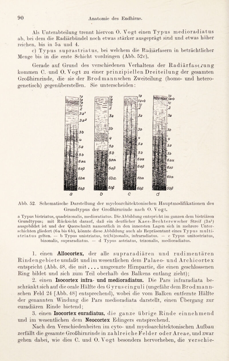 Als Unterabteilung trennt hiervon 0, Vogt einen Typus medioradiatus ab, bei dem die Kadiärbündel noch etwas stärker ausgeprägt sind und etwas höher reichen, bis in 5 a und 4. g) Typus suprastriatus, bei welchem die Radiärfasern in beträchtlicher Menge bis in die erste Schicht Vordringen (Abb. 52 c). Gerade auf Grund des verschiedenen Verhaltens der Radiärfasti’ung kommen C. >und 0. Vogt zu einer prinzipiellen Dreiteilung der gesamten Großhirnrinde, die sie der Br od mann sehen Zweiteilung (homo- und hetero¬ genetisch) gegenüberstellen. Sie unterscheiden : a ö c cl Abb. 52. Schematische Darstellung der myeloarchitektonischen Hauptmodifikationen des Grundtypus der Großhirnrinde nach O. Vogt. a Typus bistriatus, quadrizonalis, medioratiatus. Die Abbildung entspricht im ganzen dem bistriären Grundtypus; mit Rücksicht darauf, daß ein deutlicher Kaes-Bechterewscher Streif (3a^) ausgebildet ist und der Querschnitt namentlich in den innersten Lagen sich in mehrere Unter¬ schichten gliedert (6a bis 6b), könnte diese Abbildung auch als Repräsentant eines Typus multi- striatus gelten. — b Typus unistriatus, tri(bi)zonalis, infraradiatus. — c Typus unitostriatus, bizonalis, supraradiatus. — d Typus astriatus, trizonalis, medioradiatus. 1. einen Allocortex, der alle supraradiären und rudimentären Rindengebiete umfaßt und im wesenthehen dem Palaeo- und Archicortex entspricht (Abb. T8, die mit.... umgrenzte Hirnpartie, die einen geschlossenen Ring bildet und sich zum Teil oberhalb des Balkens entlang zieht); 2. einen Isocortex infra- und medioradiatus. Die Pars infraradiata be¬ schränkt sich auf die orale Hälfte des Gyruscinguli (ungefähr dem Br odmann- schen Feld 24 [Abb. 48] entsprechend), wobei die vom Balken entfernte Hälfte der genannten Windung die Pars medioradiata darstellt, einen Übergang zur euradiären Rinde bietend; 3. einen Isocortex euradiatus, die ganze übrige Rinde einnehmend und im wesenthehen dem Neocortex Edingers entsprechend. Nach den Verschiedenheiten im cyto- und myeloarchitektonischen Aufbau zerfällt die gesamte Großhirnrinde in za hl reiche Felder oder Areae, und zwar gehen dabei, wie dies C. und 0. Vogt besonders hervorheben, die verschie-