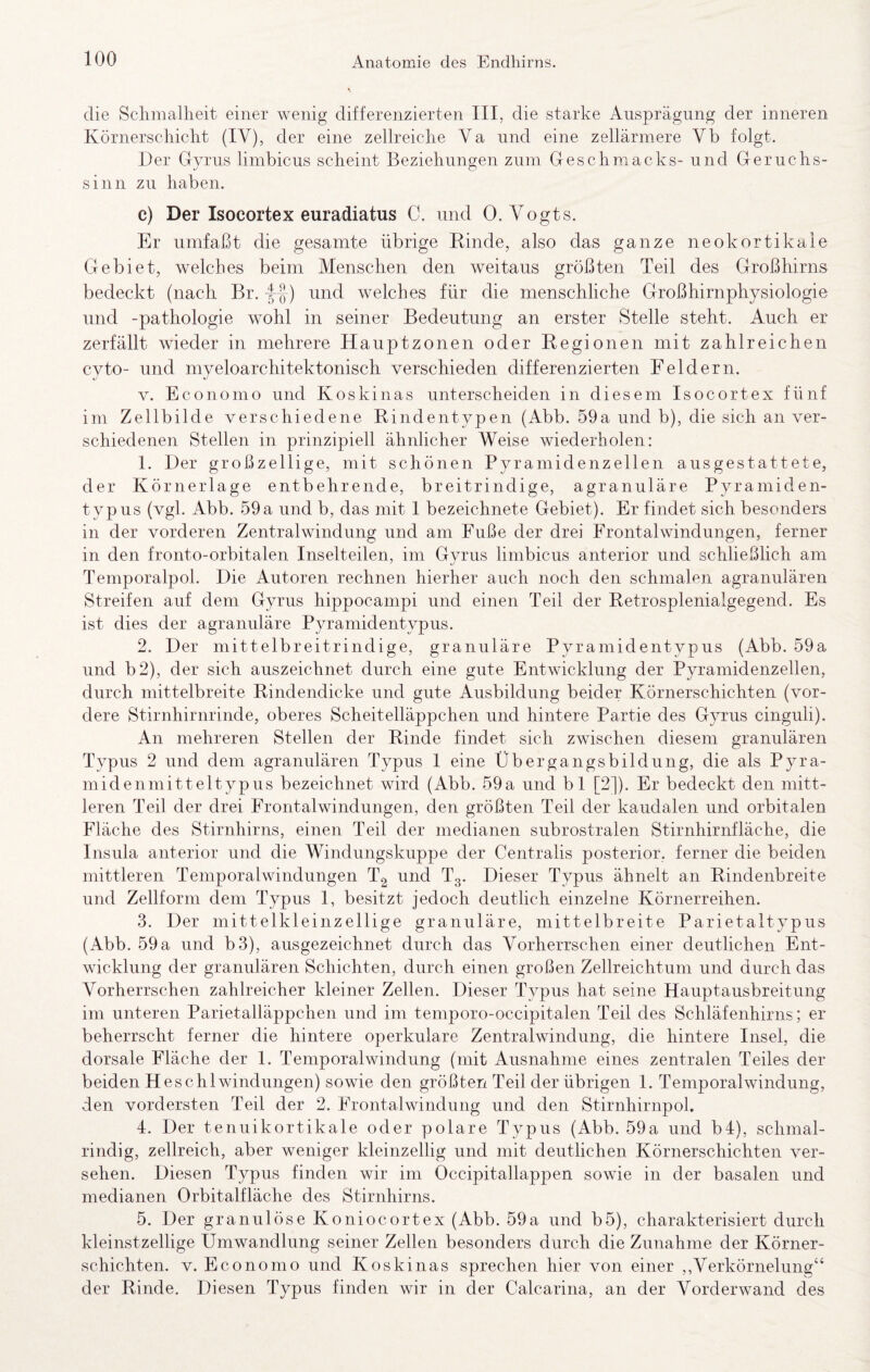 die Sclimallieit einer wenig differenzierten III, die starke Ausprägung der inneren Körnerschiclit (IV), der eine zellreiciLe Va und eine zellärmere Vb folgt. Der Gyrus limbicus scheint Beziehungen zum Geschmacks- und Geruchs¬ sinn zu haben. c) Der Isocortex euradiatus C. und 0. Vogts. Er umfaßt die gesamte übrige Rinde, also das ganze neokortikale Gebiet, welches beim Menschen den weitaus größten Teil des Großhirns bedeckt (nach Br. ff) und welches für die menschliche Großhirnphysiologie und -pathologie wohl in seiner Bedeutung an erster Stelle steht. Auch er zerfällt wieder in mehrere Hauptzonen oder Regionen mit zahlreichen cyto- und myeloarchitektonisch verschieden differenzierten Feldern. V. Economo und Koskinas unterscheiden in diesem Isocortex fünf im Zellbilde verschiedene Rindentypen (Abb. 59a und b), die sich an ver¬ schiedenen Stellen in prinzipiell ähnlicher Weise wiederholen: 1. Der großzellige, mit schönen Pyramidenzellen ausgestattete, der Körnerlage entbehrende, breitrindige, agranuläre Pyramiden¬ typus (vgl. Abb. 59 a und b, das mit I bezeichnete Gebiet). Er findet sich besonders in der vorderen Zentralwindung und am Fuße der drei Frontal Windungen, ferner in den fronto-orbitalen Inselteilen, im Gyrus limbicus anterior und schließlich am Temporalpol. Die Autoren rechnen hierher auch noch den schmalen agranulären Streifen auf dem Gyrus hippocampi und einen Teil der Retrosplenialgegend. Es ist dies der agranuläre Pyramidentypus. 2. Der mittelbreitrindige, granuläre Pyramidentypus (Abb. 59a und b2), der sich auszeichnet durch eine gute Entwicklung der Pyramidenzellen, durch mittelbreite Rindendicke und gute Ausbildung beider Körnerschichten (vor¬ dere Stirnhirnrinde, oberes Scheitelläppchen und hintere Partie des Gyrus cinguli). An mehreren Stellen der Rinde findet sich zwischen diesem granulären Typus 2 und dem agranulären Typus 1 eine Übergangsbildung, die als Pyra¬ midenmitteltypus bezeichnet wird (Abb. 59a und bl [2]). Er bedeckt den mitt¬ leren Teil der drei Frontalwindungen, den größten Teil der kaudalen und orbitalen Fläche des Stirnhirns, einen Teil der medianen subrostralen Stirnhirnfläche, die Insula anterior und die Windungskuppe der Centralis posterior, ferner die beiden mittleren Temporalwindungen T2 und Tg. Dieser Typus ähnelt an Rindenbreite und Zellform dem Typus I, besitzt jedoch deutlich einzelne Körnerreihen. 3. Der mittelkleinzellige granuläre, mittelbreite Parietaltypus (Abb. 59 a und b3), ausgezeichnet durch das Vorherrschen einer deutlichen Ent¬ wicklung der granulären Schichten, durch einen großen Zellreichtum und durch das Vorherrschen zahlreicher kleiner Zellen. Dieser Typus hat seine Hauptausbreitung im unteren Parietalläppchen und im temporo-occipitalen Teil des Schläfenhirns; er beherrscht ferner die hintere operkulare Zentralwindung, die hintere Insel, die dorsale Fläche der 1. Temporalwindung (mit Ausnahme eines zentralen Teiles der beiden H esc hl Windungen) sowie den größten Teil der übrigen I. Temporalwindung, den vordersten Teil der 2. Frontalwindung und den Stirnhirnpol. 4. Der tenuikortikale oder polare Typus (Abb. 59a und b4), schmal¬ rindig, zellreich, aber weniger kleinzellig und mit deutlichen Körnerschichten ver¬ sehen. Diesen Typus finden wir im Occipitallappen sowie in der basalen und medianen Orbitalfläche des Stirnhirns. 5. Der granulöse Koniocortex (Abb. 59a und b5), charakterisiert durch kleinstzellige Umwandlung seiner Zellen besonders durch die Zunahme der Körner¬ schichten. V. Economo und Koskinas sprechen hier von einer ,,Verkörnelung‘‘ der Rinde. Diesen Typus finden wir in der Calcarina, an der Vorderwand des
