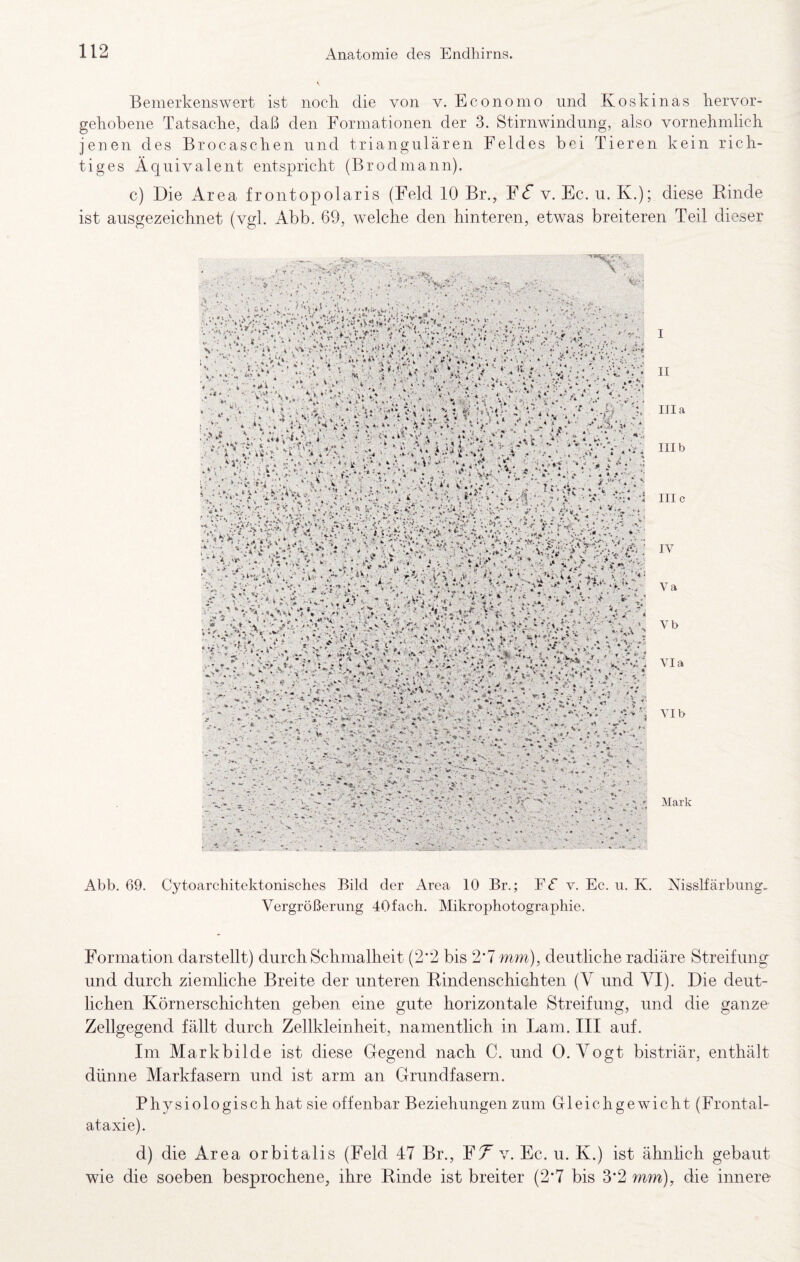 Bemerkenswert ist noch die von v. Economo und Koskinas hervor¬ gehobene Tatsache, daß den Formationen der 3. Stirnwindung, also vornehmlich jenen des Brocaschen und triangulären Feldes bei Tieren kein rich¬ tiges Äquivalent entspricht (Brodmann). c) Die Area frontopolaris (Feld 10 Br., F^ v. Ec. u. K.); diese Rinde ist ausgezeichnet (vgl. Abb. 69, welche den hinteren, etwas breiteren Teil dieser I II lila III b nie IV Va Vb Via VI b Mark Abb. 69. Cytoarchitektonisches Bild der Area 10 Br.; F<f v. Ec. u. K. Nisshärbung. Vergrößerung 40fach. Mikrophotographie. Formation darstellt) durch Schmalheit (2'2 bis 2*7 mm), denthehe radiäre Streifung und durch ziemhehe Breite der unteren Rindenschichten (V und VI). Die deut¬ lichen Körnerschichten geben eine gute horizontale Streifung, und die ganze Zellgegend fällt durch Zellkleinheit, namentlich in Lam. III auf. Im Markbilde ist diese Gegend nach C. und 0. Vogt bistriär, enthält dünne Markfasern und ist arm an Grundfasern. Physiologisch hat sie offenbar Beziehungen zum G1 eichgewicht (Frontal- ataxie). d) die Area orbitalis (Feld 47 Br., FZ^ v. Ec. u. K.) ist ähnlich gebaut wie die soeben besprochene, ihre Rinde ist breiter (2*7 bis 3*2 mm), die innere