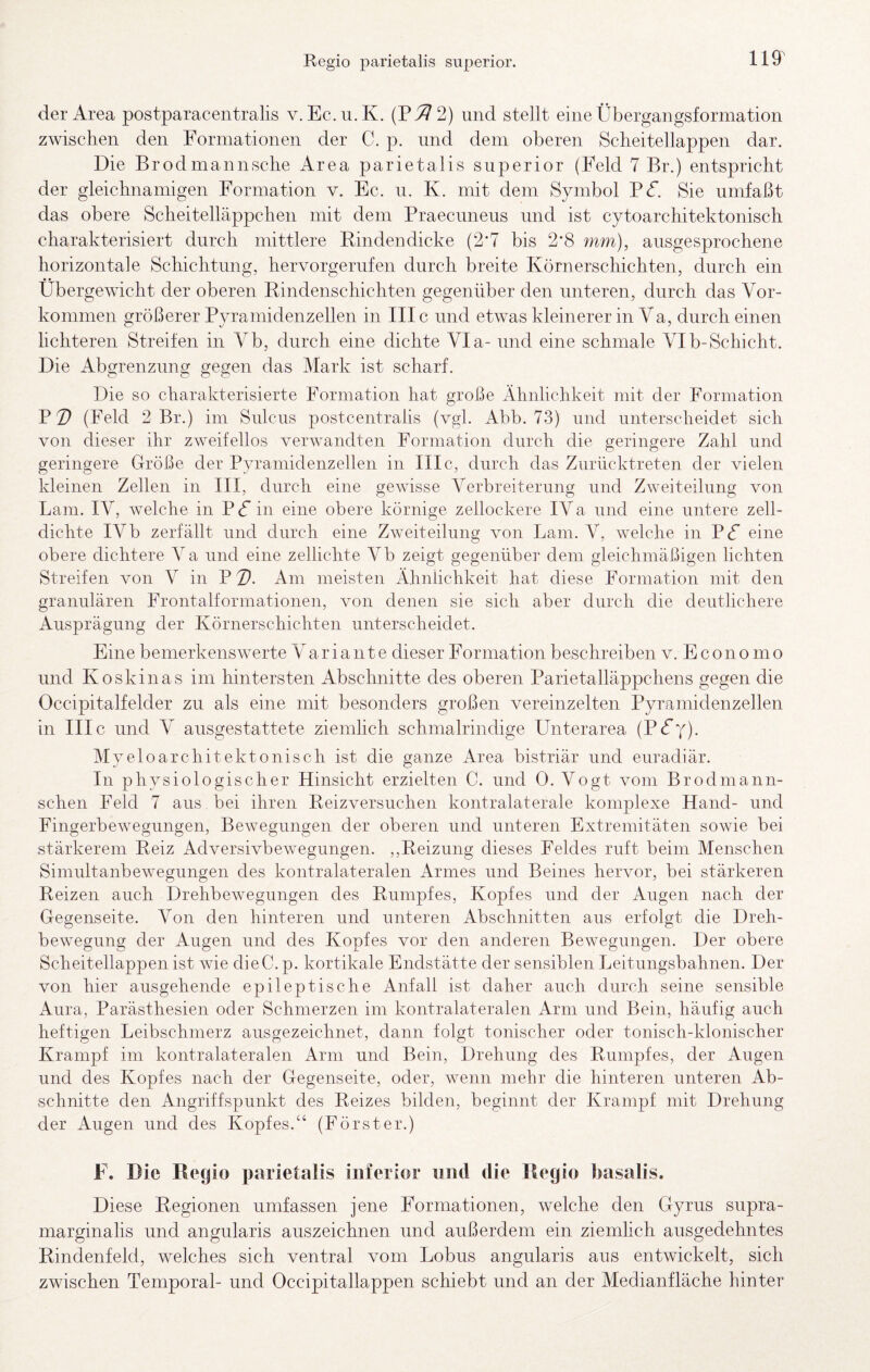 der Area postparacentralis v. Ec. u.K. (P^ 2) und stellt eine Übergangsformation zwischen den Formationen der C. p. und dem oberen Scheitellappen dar. Die Brodmannsche x4rea parietalis superior (Feld 7 Br.) entspricht der gleichnamigen Formation v. Ec. u. K. mit dem Symbol P(f. Sie umfaßt das obere Scheitelläppchen mit dem Praecuneus und ist cytoarchitektonisch charakterisiert durch mittlere Eindendicke (2*7 bis 2*8 mm), ausgesprochene horizontale Schichtung, hervorgerufen durch breite Körnerschichten, durch ein Übergewicht der oberen Eindenschichten gegenüber den unteren, durch das Vor¬ kommen größerer Pvramidenzellen in III c und etwas kleinerer in Va, durch einen lichteren Streiten in Vb, durch eine dichte Via- und eine schmale Vlb-Schicht. Die Abgrenzung gegen das Mark ist scharf. Die so charakterisierte Formation hat große Ähnlichkeit mit der Formation VD (Feld 2 Br.) im Sulcus postcentralis (vgl. Abb. 73) und unterscheidet sich von dieser ihr zweifellos verwandten Formation durch die geringere Zahl und geringere Größe der Pyramidenzellen in III c, durch das Zurücktreten der vielen kleinen Zellen in III, durch eine gewisse Verbreiterung und Zweiteilung von Lain. IV, welche in P (f in eine obere körnige zellockere IV a und eine untere zell¬ dichte IVb zerfällt und durch eine Zweiteilung von Lam. V, welche in PÄ eine obere dichtere Aa und eine zellichte Vb zeigt gegenüber dem gleichmäßigen lichten vStreifen von V in P D. Am meisten Ähnlichkeit hat diese Formation mit den granulären Frontalformationen, von denen sie sich aber durch die deutlichere Ausprägung der Körnerschichten unterscheidet. Eine bemerkenswerte a r i a ii t e dieser Formation beschreiben v. E c on o m o und Koskinas im hintersten Abschnitte des oberen Parietalläppchens gegen die Occipitalfelder zu als eine mit besonders großen vereinzelten Pyramidenzellen in III c und A ausgestattete ziemlich schmalrindige Unterarea (PÄy). Myeloarchitektonisch ist die ganze Area bistriär und euradiär. In physiologischer Hinsicht erzielten C. und 0. Vogt vom Brodmann- schen Feld 7 aus . bei ihren Eeizversuchen kontralaterale komplexe Hand- und Fingerbewegungen, Bewegungen der oberen und unteren Extremitäten sowie bei stärkerem Reiz Adversivbewegungen. ,,Eeizung dieses Feldes ruft beim Menschen Simultanbewegungen des kontralateralen Armes und Beines hervor, bei stärkeren Reizen auch Drehbewegungen des Rumpfes, Kopfes und der Augen nach der Gegenseite. Von den hinteren und unteren Abschnitten aus erfolgt die Dreh¬ bewegung der Augen und des Kopfes vor den anderen Bewegungen. Der obere Scheitellappen ist wie dieC. p. kortikale Endstätte der sensiblen Leitungsbahnen. Der von hier ausgehende epileptische Anfall ist daher auch durch seine sensible Aura, Parästhesien oder Schmerzen im kontralateralen Arm und Bein, häufig auch heftigen Leibschmerz ausgezeichnet, dann folgt tonischer oder tonisch-klonischer Krampf im kontralateralen Arm und Bein, Drehung des Rumpfes, der Augen und des Kopfes nach der Gegenseite, oder, wenn mehr die hinteren unteren Ab¬ schnitte den Angriffspunkt des Reizes bilden, beginnt der Krampf mit Drehung der iVugen und des Kopfes.“ (Förster.) F. Die Regio parietalis inferior und die Regio basalis. Diese Regionen umfassen jene Formationen, welche den Gyrus supra- marginalis und angularis auszeichnen und außerdem ein ziemlich ausgedehntes Rindenfeld, welches sich ventral vom Lobus angularis aus entwickelt, sich zwischen Temporal- und Occipitallappen schiebt und an der Medianfläche hinter