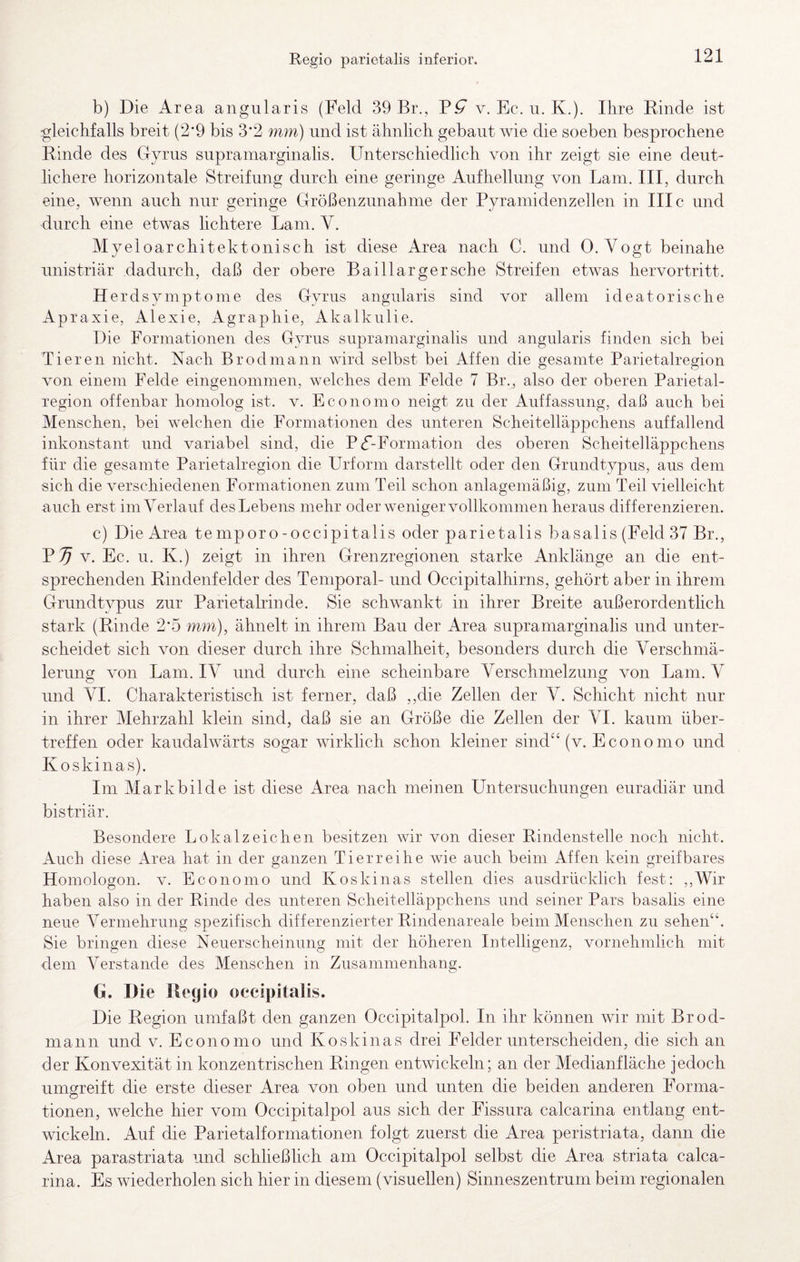 b) Die Area angularis (Feld 39 Br., v. Ec. u. K,). Ihre Rinde ist gleichfalls breit (2'9 bis 3*2 mm) und ist ähnlich gebaut wie die soeben besprochene Rinde des Gyrus suprainarginahs. Unterschiedlich von ihr zeigt sie eine deut¬ lichere horizontale Streifung durch eine geringe Aufhellung von Lam. III, durch eine, wenn auch nur geringe Größenzunahme der Pyramidenzellen in IIIc und durch eine etwas lichtere Lam. V. Myeloarchitektonisch ist diese Area nach C. und 0. Vogt beinahe unistriär dadurch, daß der obere Baill arger sehe Streifen etwas hervortritt. Herdsymptome des Gyrus angularis sind vor allem ideatorische Apraxie, Alexie, Agraphie, Akalkulie. Die Formationen des Gyrus suprainarginahs und angularis finden sich bei Tieren nicht. Nach Brodmann wird selbst bei Affen die gesamte Parietalregion von einem Felde eingenommen, welches dem Felde 7 Br., also der oberen Parietal- region offenbar homolog ist. v. Economo neigt zu der Auffassung, daß auch bei Menschen, bei welchen die Formationen des unteren Scheitelläppchens auffallend inkonstant und variabel sind, die P(f-Formation des oberen Scheitelläppchens für die gesamte Parietalregion die Urform darstellt oder den Grundtypus, aus dem sich die verschiedenen Formationen zum Teil schon anlagemäßig, zum Teil vielleicht auch erst im Verlauf des Lebens mehr oder weniger vollkommen heraus differenzieren. c) Die Area temporo-occipitalis oder parietalis basalis (Feld 37 Br., Pi^ V. Ec. u. K.) zeigt in ihren Grenzregionen starke Anklänge an die ent¬ sprechenden Rindenfelder des Temporal- und Occipitalhirns, gehört aber in ihrem Grundtypus zur Parietalrinde. Sie schwankt in ihrer Breite außerordentlich stark (Rinde 2*5 mm), ähnelt in ihrem Bau der Area supramarginalis und unter¬ scheidet sich von dieser durch ihre Schmalheit, besonders durch die Verschmä¬ lerung von Lam. IV und durch eine scheinbare Verschmelzung von Lam. V und VI. Charakteristisch ist ferner, daß ,,die Zellen der V. Schicht nicht nur in ihrer Mehrzahl klein sind, daß sie an Größe die Zellen der VI. kaum über¬ treffen oder kaudalwärts sogar wirklich schon kleiner sind^^ (v. Economo und Koskinas). Im Markbilde ist diese Area nach meinen Untersuchungen euradiär und bistriär. Besondere Lokalzeichen besitzen wir von dieser Rindenstelle noch nicht. Auch diese Area hat in der ganzen Tierreihe wie auch beim Affen kein greifbares Homologon. v. Economo und Koskinas stellen dies ausdrücklich fest: ,,Wir haben also in der Rinde des unteren Scheitelläppchens und seiner Pars basalis eine neue Vermehrung spezifisch differenzierter Rindenareale beim Menschen zu sehen“. Sie bringen diese Neuerscheinung mit der höheren Intelligenz, vornehmlich mit dem Verstände des Menschen in Zusammenhang. G. Die Heg io occipi talis. Die Region umfaßt den ganzen Occipitalpol. In ihr können wir mit Brod¬ mann und V. Economo und Koskinas drei Felder unterscheiden, die sich an der Konvexität in konzentrischen Ringen entwickeln; an der Medianfläche jedoch umgreift die erste dieser Area von oben und unten die beiden anderen Forma- tionen, welche hier vom Occipitalpol aus sich der Fissura calcarina entlang ent¬ wickeln. Auf die Parietalformationen folgt zuerst die Area peristriata, dann die Area parastriata und schließlich am Occipitalpol selbst die Area striata calca¬ rina. Es wiederholen sich hier in diesem (visuellen) Sinneszentrum beim regionalen