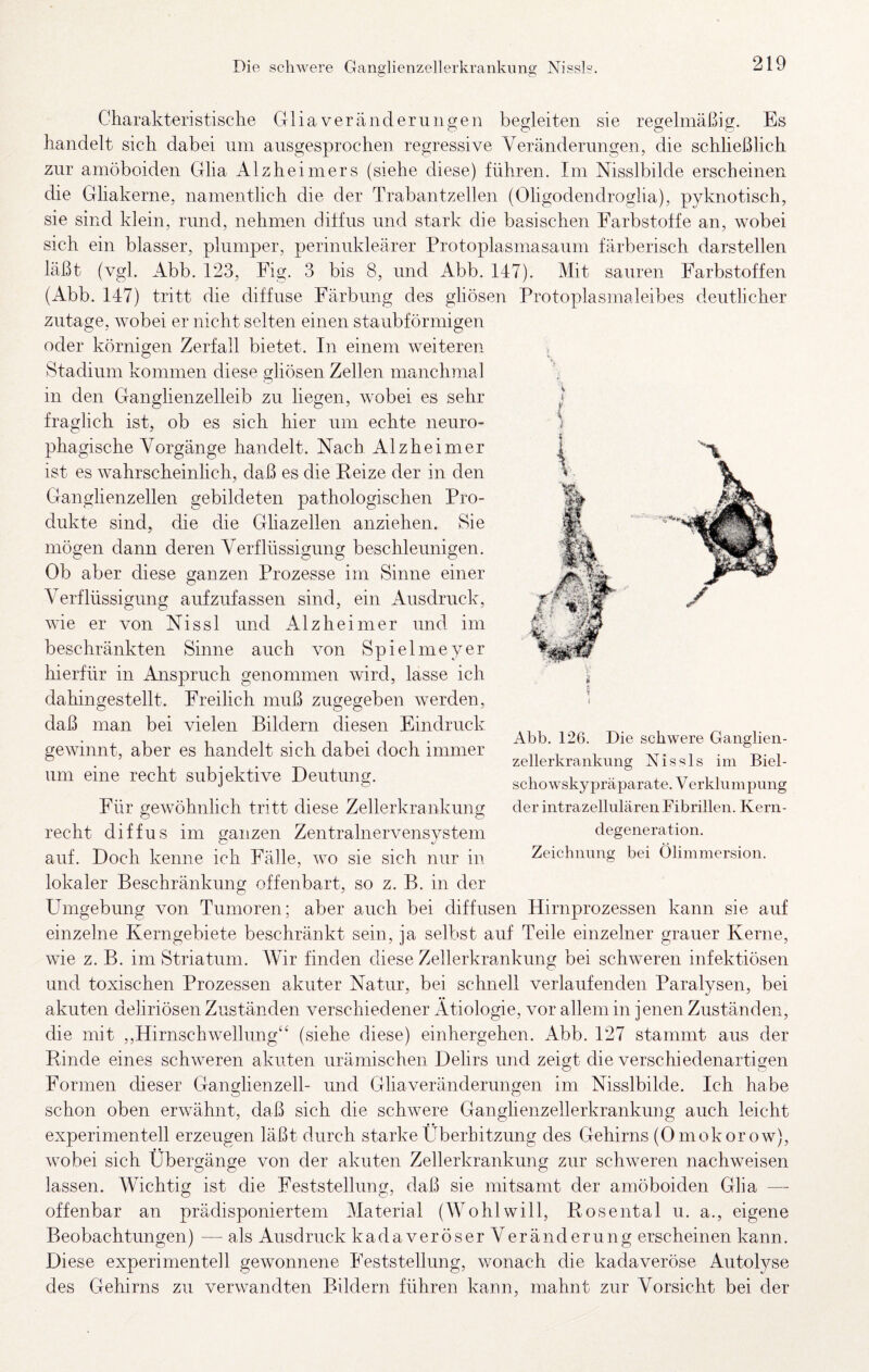 Charakteristische GliaVeränderungen begleiten sie regelmäßig. Es handelt sich dabei um ansgesprochen regressive Veränderungen, die schließlich zur amöboiden Glia Alzheimers (siehe diese) führen. Im Nisslbilde erscheinen die Gliakerne, namentlich die der Trabantzellen (Oligodendroglia), pyknotisch, sie sind klein, rund, nehmen diffus und stark die basischen Farbstoffe an, wobei sich ein blasser, plumper, perinukleärer Protoplasmasaum färberisch darstellen läßt (vgl. Abb. 123, Fig. 3 bis 8, und Abb. 147). Mit sauren Farbstoffen (Abb. 147) tritt die diffuse Färbung des gliösen Protoplasmaleibes deutlicher zutage, wobei er nicht selten einen staubförmigen oder körnigen Zerfall bietet. In einem weiteren Stadium kommen diese gliösen Zellen manchmal in den Ganglienzelleib zu liegen, wobei es sehr fraglich ist, ob es sich hier um echte neuro- phagische Vorgänge handelt. Nach Alzheimer ist es wahrscheinlich, daß es die Reize der in den Ganglienzellen gebildeten pathologischen Pro¬ dukte sind, die die Gliazellen anziehen. Sie mögen dann deren Verflüssigung beschleunigen. Ob aber diese ganzen Prozesse im Sinne einer Verflüssigung aufzufassen sind, ein Ausdruck, wie er von Nissl und Alzheimer und im beschränkten Sinne auch von Spielmeyer hierfür in Anspruch genommen wird, lasse ich dahingestellt. Freilich muß zugegeben werden, daß man bei vielen Bildern diesen Eindruck gewinnt, aber es handelt sich dabei doch immer um eine recht subjektive Deutung. Für gewöhnlich tritt diese Zellerkrankung recht diffus im ganzen Zentralnervensystem auf. Doch kenne ich Fälle, wo sie sich nur in lokaler Beschränkung offenbart, so z. B. in der Umgebung von Tumoren; aber auch bei diffusen Hirnprozessen kann sie auf einzelne Kerngebiete beschränkt sein, ja selbst auf Teile einzelner grauer Kerne, wie z. B. im Striatum. Wir finden diese Zellerkrankung bei schweren infektiösen und toxischen Prozessen akuter Natur, bei schnell verlaufenden Paralysen, bei akuten deliriösen Zuständen verschiedener Ätiologie, vor allem in jenen Zuständen, die mit ,,Hirnschwellung‘‘ (siehe diese) einhergehen. Abb. 127 stammt aus der Rinde eines schweren akuten urämischen Delirs und zeigt die verschiedenartigen Formen dieser Ganglienzell- und Gliaveränderimgen im Nisslbilde. Ich habe schon oben erwähnt, daß sich die schwere Ganglienzellerkrankung auch leicht experimentell erzeugen läßt durch starke LTberhitzung des Gehirns (Omokorow), wobei sich Übergänge von der akuten Zellerkrankung zur schweren nachweisen lassen. Wichtig ist die Feststellung, daß sie mitsamt der amöboiden Glia —• offenbar an prädisponiertem Material (Wohlwill, Rosental u. a., eigene Beobachtungen) — als Ausdruck kadaveröser Veränderung erscheinen kann. Diese experimentell gewonnene Feststellung, wonach die kadaveröse Autolyse des Gehirns zu verwandten Bildern führen kann, mahnt zur Vorsicht bei der ■’v V i I Abb. 126. Die schwere Ganglien¬ zellerkrankung Nissls im Biel- schowsky Präparate. V erklumpung der intrazellulären Fibrillen. Kern¬ degeneration.