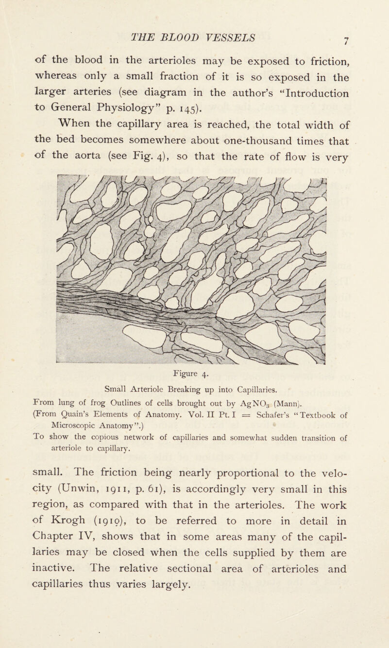 / of the blood in the arterioles may be exposed to friction, whereas only a small fraction of it is so exposed in the larger arteries (see diagram in the author’s ‘‘Introduction to General Physiology ” P* !45)- When the capillary area is reached, the total width of the bed becomes somewhere about one-thousand times that of the aorta (see Fig. 4), so that the rate of flow is very Figure 4. Small Arteriole Breaking up into Capillaries. From lung of frog Outlines of cells brought out by AgN03 (Mann). (From Quain’s Elements of Anatomy. Vol. II Pt. I = Schafer’s “ Textbook of Microscopic Anatomy”.) To show the copious network of capillaries and somewhat sudden transition of arteriole to capillary. small. The friction being nearly proportional to the velo¬ city (Unwin, 1911, p. 61), is accordingly very small in this region, as compared with that in the arterioles. The work of Krogh (1919), to be referred to more in detail in Chapter IV, shows that in some areas many of the capil¬ laries may be closed when the cells supplied by them are inactive. The relative sectional area of arterioles and capillaries thus varies largely.
