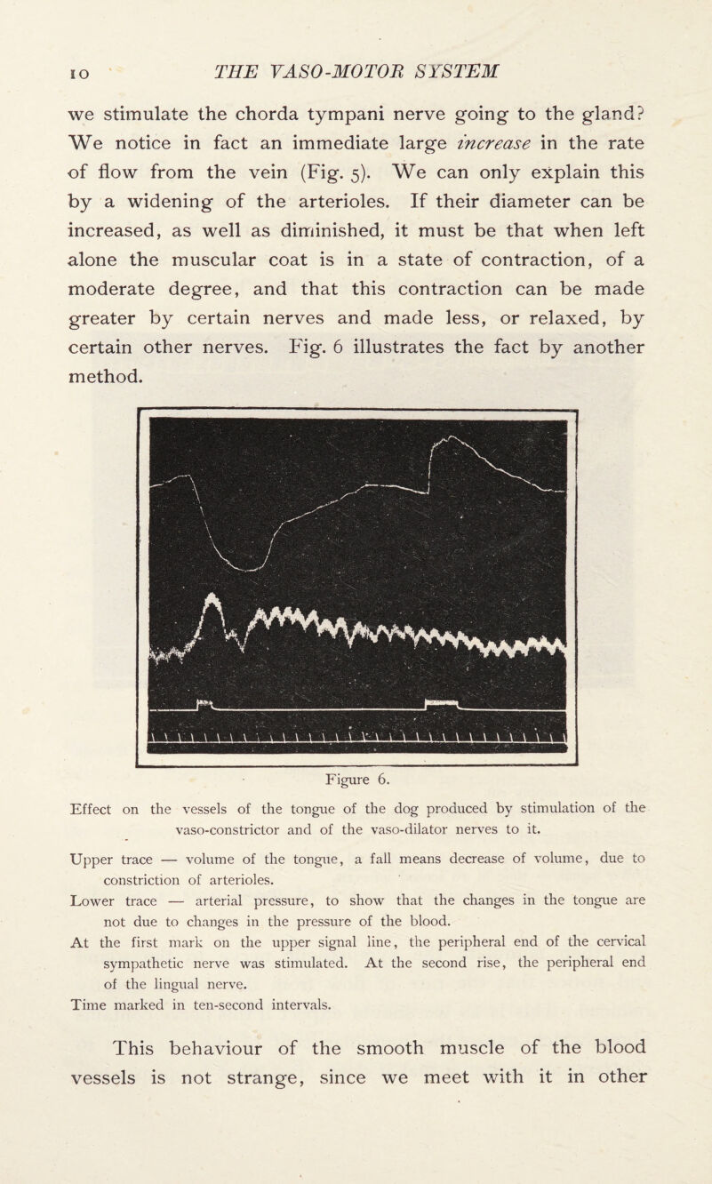 we stimulate the chorda tympani nerve going to the gland? We notice in fact an immediate large increase in the rate of flow from the vein (Fig. 5). We can only explain this by a widening of the arterioles. If their diameter can be increased, as well as diminished, it must be that when left alone the muscular coat is in a state of contraction, of a moderate degree, and that this contraction can be made greater by certain nerves and made less, or relaxed, by certain other nerves. Fig. 6 illustrates the fact by another method. Figure 6. Effect on the vessels of the tongue of the dog produced by stimulation of the vaso-constrictor and of the vaso-dilator nerves to it. Upper trace — volume of the tongue, a fall means decrease of volume, due to constriction of arterioles. Lower trace — arterial pressure, to show that the changes in the tongue are not due to changes in the pressure of the blood. At the first mark on the upper signal line, the peripheral end of the cervical sympathetic nerve was stimulated. At the second rise, the peripheral end of the lingual nerve. Time marked in ten-second intervals. This behaviour of the smooth muscle of the blood vessels is not strange, since we meet with it in other