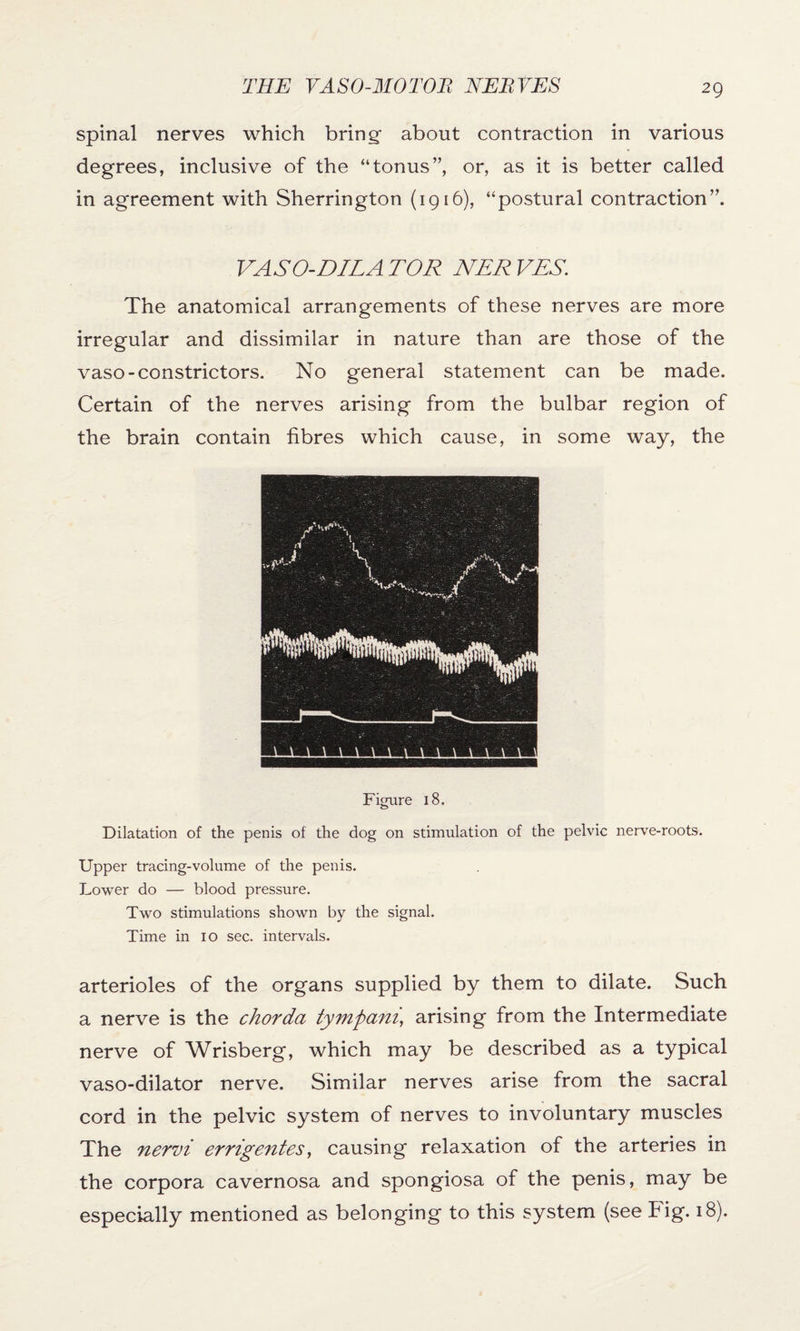 spinal nerves which bring- about contraction in various degrees, inclusive of the “tonus”, or, as it is better called in agreement with Sherrington (1916), “postural contraction”. VASO-DILA TOR NER VES. The anatomical arrangements of these nerves are more irregular and dissimilar in nature than are those of the vaso-constrictors. No general statement can be made. Certain of the nerves arising from the bulbar region of the brain contain fibres which cause, in some way, the Figure 18. © Dilatation of the penis of the dog on stimulation of the pelvic nerve-roots. Upper tracing-volume of the penis. Lower do — blood pressure. Two stimulations shown by the signal. Time in io sec. intervals. arterioles of the organs supplied by them to dilate. Such a nerve is the chorda tympani, arising from the Intermediate nerve of Wrisberg, which may be described as a typical vaso-dilator nerve. Similar nerves arise from the sacral cord in the pelvic system of nerves to involuntary muscles The nervi errigentes, causing relaxation of the arteries in the corpora cavernosa and spongiosa of the penis, may be especially mentioned as belonging to this system (see big. 18).