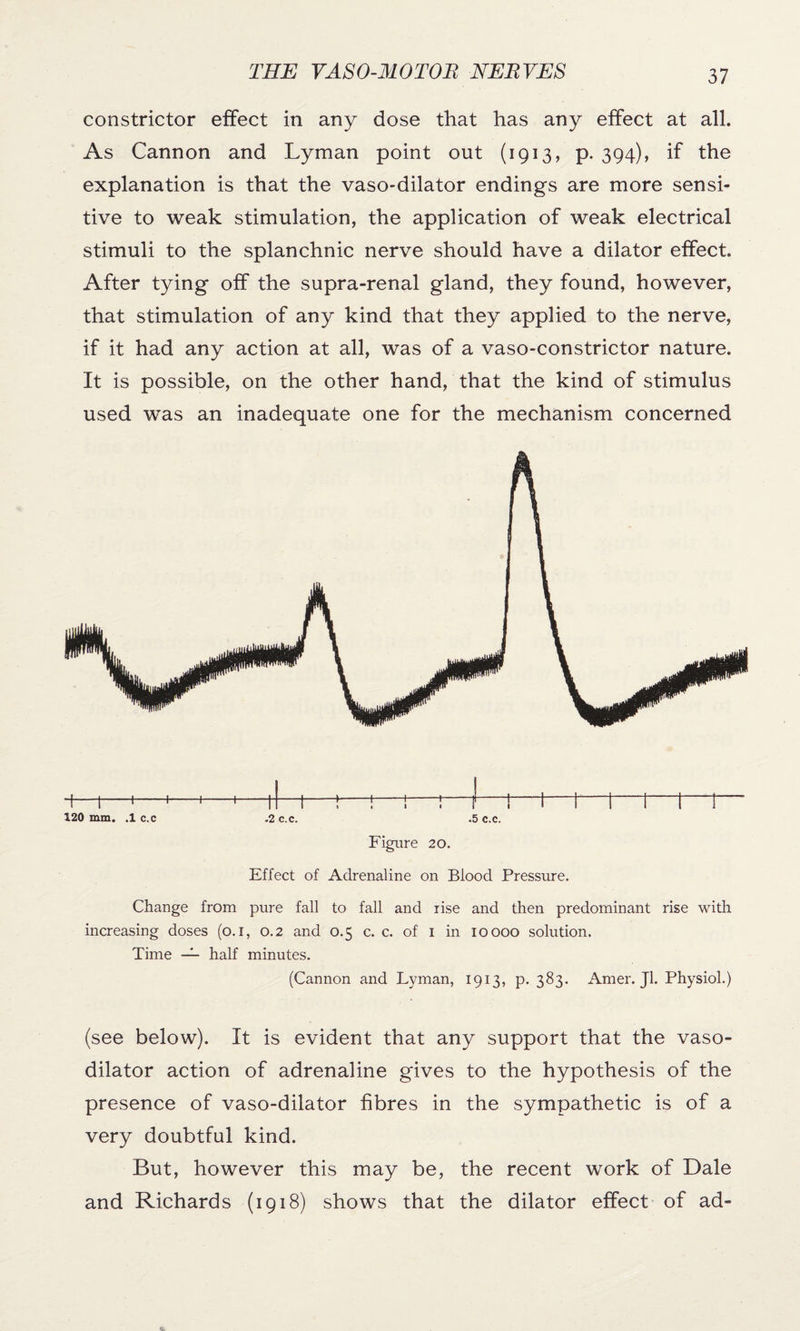 constrictor effect in any dose that has any effect at all. As Cannon and Lyman point out (1913, p. 394), if the explanation is that the vaso-dilator endings are more sensi¬ tive to weak stimulation, the application of weak electrical stimuli to the splanchnic nerve should have a dilator effect. After tying off the supra-renal gland, they found, however, that stimulation of any kind that they applied to the nerve, if it had any action at all, was of a vaso-constrictor nature. It is possible, on the other hand, that the kind of stimulus used was an inadequate one for the mechanism concerned 120 mm. .1 c.c .2 c.c. .5 c.c. Figure 20. Effect of Adrenaline on Blood Pressure. Change from pure fall to fall and rise and then predominant rise with increasing doses (o. 1, 0.2 and 0.5 c. c. of 1 in 10000 solution. Time — half minutes. (Cannon and Lyman, 1913, p. 383. Amer. Jl. Physiol.) (see below). It is evident that any support that the vaso¬ dilator action of adrenaline gives to the hypothesis of the presence of vaso-dilator fibres in the sympathetic is of a very doubtful kind. But, however this may be, the recent work of Dale and Richards (1918) shows that the dilator effect of ad-