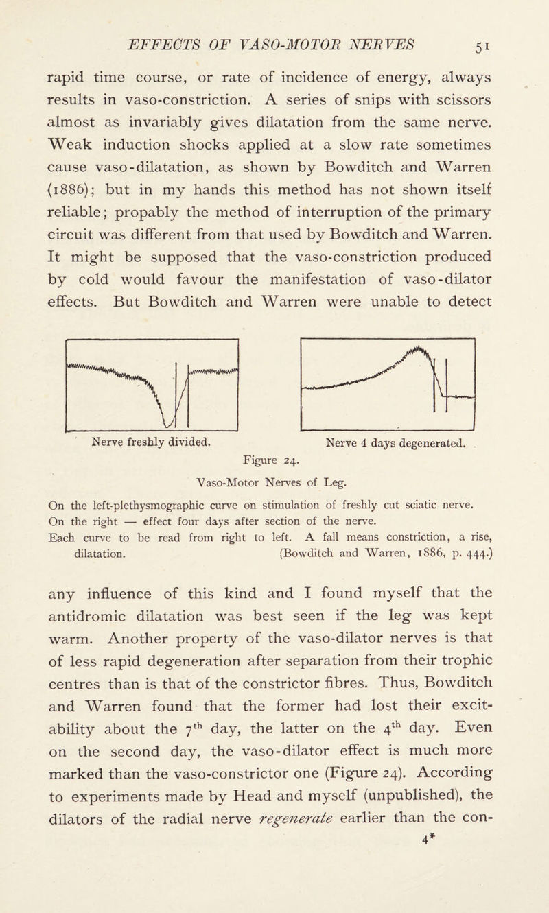 rapid time course, or rate of incidence of energy, always results in vaso-constriction. A series of snips with scissors almost as invariably gives dilatation from the same nerve. Weak induction shocks applied at a slow rate sometimes cause vaso-dilatation, as shown by Bowditch and Warren (1886); but in my hands this method has not shown itself reliable; propably the method of interruption of the primary circuit was different from that used by Bowditch and Warren. It might be supposed that the vaso-constriction produced by cold would favour the manifestation of vaso-dilator effects. But Bowditch and Warren were unable to detect Nerve freshly divided. Nerve 4 days degenerated. . Figure 24. Vaso-Motor Nerves of Leg. On the left-plethysmographic curve on stimulation of freshly cut sciatic nerve. On the right — effect four days after section of the nerve. Each curve to be read from right to left. A fall means constriction, a rise, dilatation. (Bowditch and Warren, 1886, p. 444.) any influence of this kind and I found myself that the antidromic dilatation was best seen if the leg was kept warm. Another property of the vaso-dilator nerves is that of less rapid degeneration after separation from their trophic centres than is that of the constrictor fibres. Thus, Bowditch and Warren found that the former had lost their excit¬ ability about the 7th day, the latter on the 4th day. Even on the second day, the vaso-dilator effect is much more marked than the vaso-constrictor one (Figure 24). According to experiments made by Head and myself (unpublished), the dilators of the radial nerve regenerate earlier than the con-