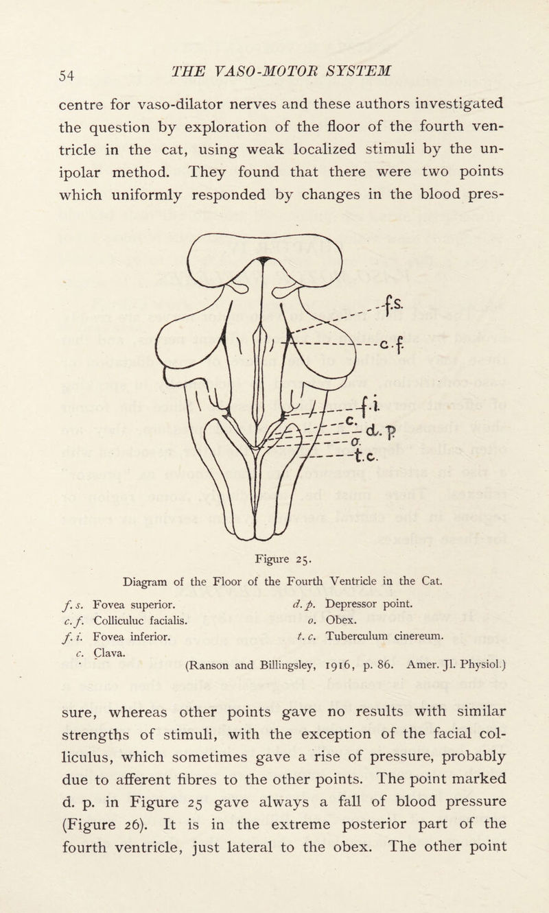 centre for vaso-dilator nerves and these authors investigated the question by exploration of the floor of the fourth ven¬ tricle in the cat, using weak localized stimuli by the un¬ ipolar method. They found that there were two points which uniformly responded by changes in the blood pres- Figure 25. Diagram of the Floor of the Fourth Ventricle in the Cat, f.s. Fovea superior. d.p. Depressor point. c. f. Colliculuc facialis. 0. Obex. f. i. Fovea inferior. t. c. Tuberculum cinereum. c. Clava. (Ranson and Billingsley, 1916, p. 86. Amer. Jl. Physiol.) sure, whereas other points gave no results with similar strengths of stimuli, with the exception of the facial col¬ liculus, which sometimes gave a rise of pressure, probably due to afferent fibres to the other points. The point marked d. p. in Figure 25 gave always a fall of blood pressure (Figure 26). It is in the extreme posterior part of the fourth ventricle, just lateral to the obex. The other point