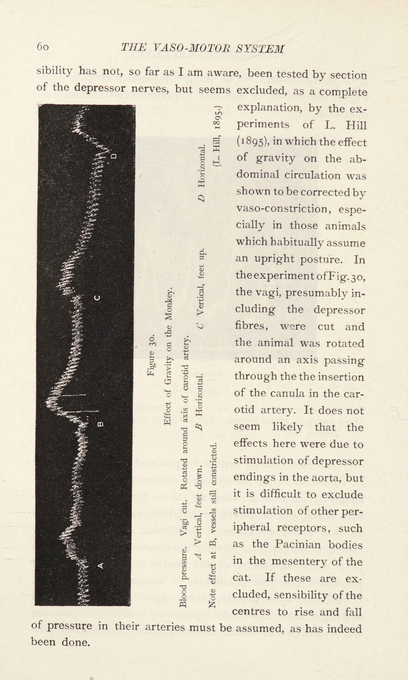 ON oo sibility has not, so far as I am aware, been tested by section of the depressor nerves, but seems excluded, as a complete explanation, by the ex¬ periments of L. Hill (1895), in which the effect of gravity on the ab¬ dominal circulation was shown to be corrected by vaso-constriction, espe¬ cially in those animals which habitually assume an upright posture. In the experiment of Fig. 30, the vagi, presumably in¬ cluding the depressor fibres, were cut and the animal was rotated around an axis passing through the the insertion of the canula in the car¬ otid artery. It does not seem likely that the effects here were due to stimulation of depressor endings in the aorta, but it is difficult to exclude stimulation of other per¬ ipheral receptors, such as the Pacinian bodies in the mesentery of the cat. If these are ex¬ cluded, sensibility of the centres to rise and fall of pressure in their arteries must be assumed, as has indeed been done. >, S-. <D cd rs O Ss CJ O <D <D a -j-j o 0) «-*-H *4-» <V <v o