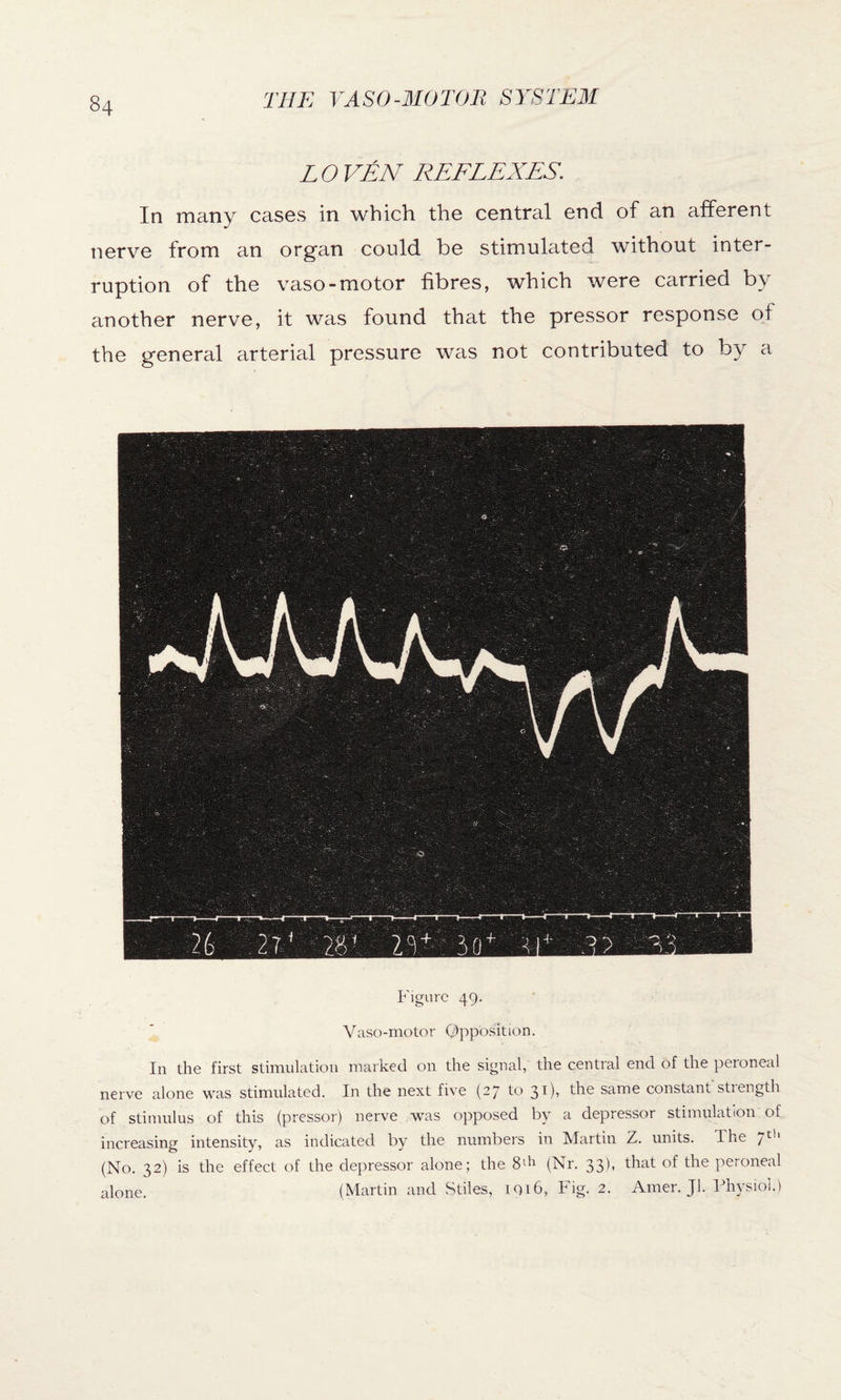 L O VEN REFLEXES. In many cases in which the central end of an afferent nerve from an organ could be stimulated without inter¬ ruption of the vaso-motor fibres, which were carried by another nerve, it was found that the pressor response of the general arterial pressure was not contributed to by a Figure 49. Vasomotor Opposition. In the first stimulation marked on the signal, the central end of the peroneal nerve alone was stimulated. In the next five (27 to 31), the same constant'strength of stimulus of this (pressor) nerve was opposed by a depressor stimulation of increasing intensity, as indicated by the numbers in Martin Z. units. The 7Cl1 (No. 32) is the effect of the depressor alone; the 8T (Nr. 33), that of the peroneal alone. (Martin and Stiles, iqi6, Fig. 2. Amer. Jl. Physiol.)