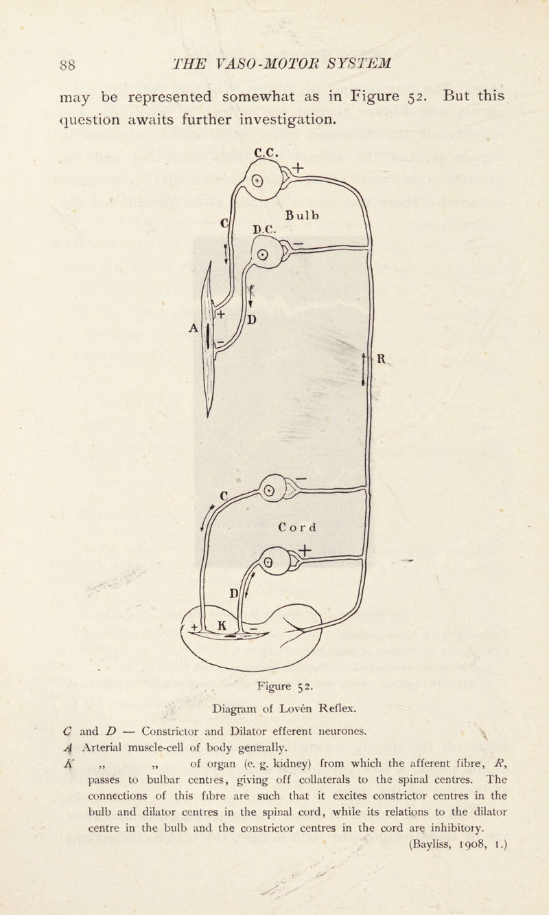 may be represented somewhat as in Figure 52. But this question awaits further investigation. c.c. C and D — Constrictor and Dilator efferent neurones. A Arterial muscle-cell of body generally. K ,, „ of organ (e. g. kidney) from which the afferent fibre, R9 passes to bulbar centies, giving off collaterals to the spinal centres. The connections of this fibre are such that it excites constrictor centres in the bulb and dilator centres in the spinal cord, while its relations to the dilator centre in the bulb and the constrictor centres in the cord are inhibitory. (Bayliss, 1908, I.)