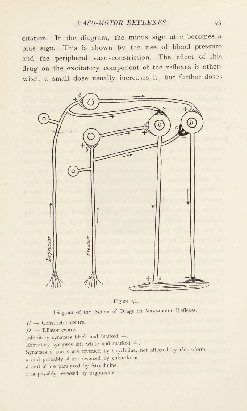 citation. In the diagram, the minus sign at a becomes a plus sign. This is shown by the rise of blood pressure and the peripheral vaso-constriction. The effect of this drug on the excitatory component of the reflexes is other¬ wise; a small dose usually increases it, but further doses C — Constrictor centre. D — Dilator centre. Inhibitory synapses black and marked —. Excitatory synapses left white and marked +. Synapses a and c are reversed by strychnine, not affected by chloroform. b and probably d are reversed by chloroform. b and d are para'yzed by Strychnine. c is possibly reversed by eigotoxine.