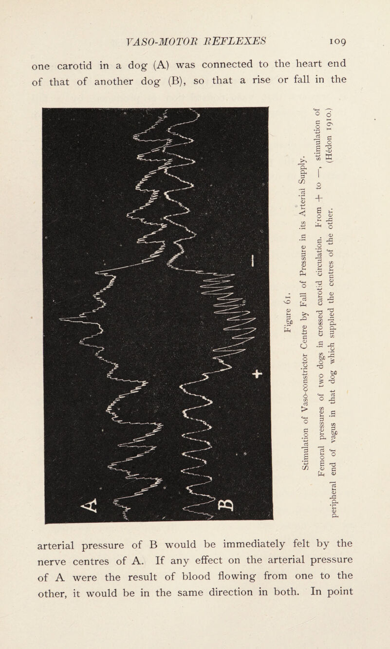 one carotid in a dog (A) was connected to the heart end of that of another dog (B), so that a rise or fall in the p—\ o 6 p o • f—< t-H O HH P 5 o rp .£ *4-> cd -CD O + s o a; 4-> O <D r* Gb 4-» *4—> *4-4 cZ O y——< £ CD CJ 0) J-H o 4J C 75 <D CJ O <L> *~ f-H vZ a 4-* *0 (D 'P <d cd m P. O Ph <U P cn & r-1 O CD bJO P2 O £ 1-0 bJO o o £ ■P 4—* 4-» o P= HH CD <U P • 1-4 G CD CD CD f-4 G bC p- • 5 > . o O s P a> p £ <D a <u hP .Ph CD P< arterial pressure of B would be immediately felt by the nerve centres of A. If any effect on the arterial pressure of A were the result of blood flowing from one to the other, it would be in the same direction in both. In point