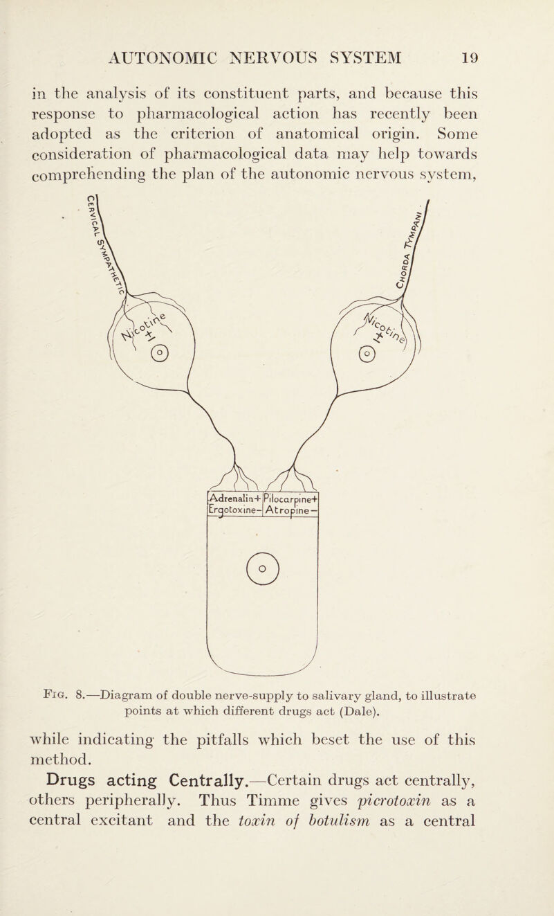 in the analysis of its constituent parts, and because this response to pharmacological action has recently been adopted as the criterion of anatomical origin. Some consideration of pharmacological data may help towards comprehending the plan of the autonomic nervous system, Fig. 8.—Diagram of double nerve-supply to salivary gland, to illustrate points at which different drugs act (Dale). while indicating the pitfalls which beset the use of this method. Drugs acting Centrally.—Certain drugs act centrally, others peripherally. Thus Timme gives picrotoxin as a central excitant and the toxin of botulism as a central