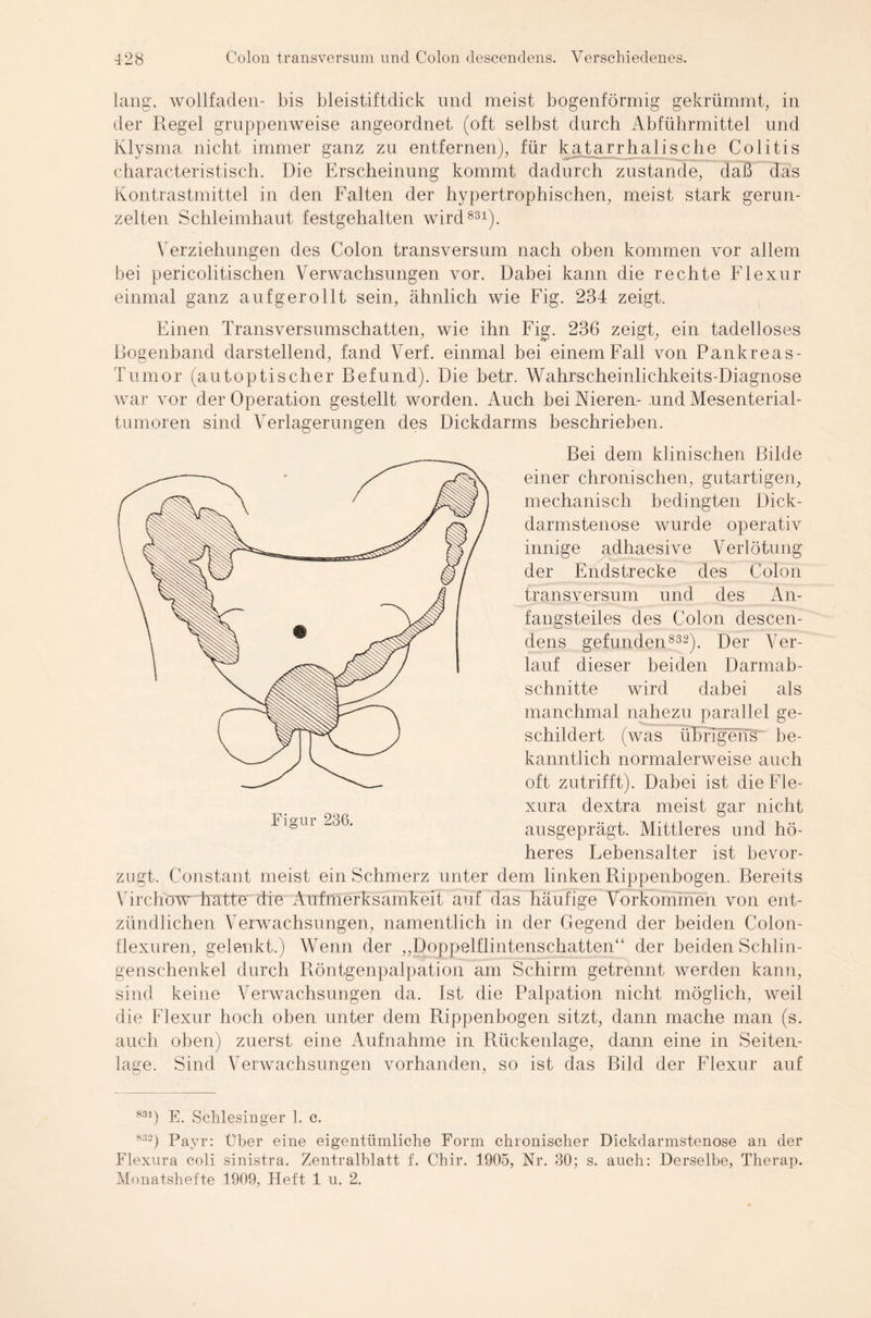 lang, wollfaden- bis bleistiftdick und meist bogenförmig gekrümmt, in der Regel gruppenweise angeordnet (oft selbst durch Abführmittel und Klysma nicht immer ganz zu entfernen), für katarrhalische Colitis characteristisch. Die Erscheinung kommt dadurch zustande, daß das Kontrastmittel in den Falten der hypertrophischen, meist stark gerun¬ zelten Schleimhaut festgehalten wird831). Verziehungen des Colon transversum nach oben kommen vor allem bei pericolitischen Verwachsungen vor. Dabei kann die rechte Flexur einmal ganz aufgerollt sein, ähnlich wie Fig. 234 zeigt. Einen Transversumschatten, wie ihn Fig. 236 zeigt, ein tadelloses Bogenband darstellend, fand Verf. einmal bei einem Fall von Pankreas- Tumor (autoptischer Befund). Die betr. Wahrscheinlichkeits-Diagnose war vor der Operation gestellt worden. Auch bei Nieren- und Mesenterial¬ tumoren sind Verlagerungen des Dickdarms beschrieben. Bei dem klinischen Bilde einer chronischen, gutartigen, mechanisch bedingten Dick¬ darmstenose wurde operativ innige adhaesive Verlötung der Endstrecke des Colon transversum und des An¬ fangsteiles des Colon descen¬ dens gefunden832). Der Ver¬ lauf dieser beiden Darmab¬ schnitte wird dabei als manchmal nahezu parallel ge¬ schildert (was übrigens' be¬ kanntlich normalerweise auch oft zutrifft). Dabei ist dieFle- xura dextra meist gar nicht ausgeprägt. Mittleres und hö¬ heres Febensalter ist bevor¬ zugt. Constant meist ein Schmerz unter dem linken Rippenbogen. Bereits Virchow hatte die Aufmerksamkeit auf das häufige Vorkommen von ent¬ zündlichen Verwachsungen, namentlich in der Gegend der beiden Colon- flexuren, gelenkt.) Wenn der ,,Doppelflintenschatten“ der beiden Sclilin- genschenkel durch Röntgenpalpation am Schirm getrennt werden kann, sind keine Verwachsungen da. Ist die Palpation nicht möglich, weil die Flexur hoch oben unter dem Rippenbogen sitzt, dann mache man (s. auch oben) zuerst eine Aufnahme in Rückenlage, dann eine in Seiten¬ lage. Sind Verwachsungen vorhanden, so ist das Bild der Flexur auf 831) E. Schlesinger 1. c. 832) Payr: Über eine eigentümliche Form chronischer Dickdarmstenose an der Flexura coli sinistra. Zentralblatt f. Chir. 1905, Nr. 30; s. auch: Derselbe, Therap.