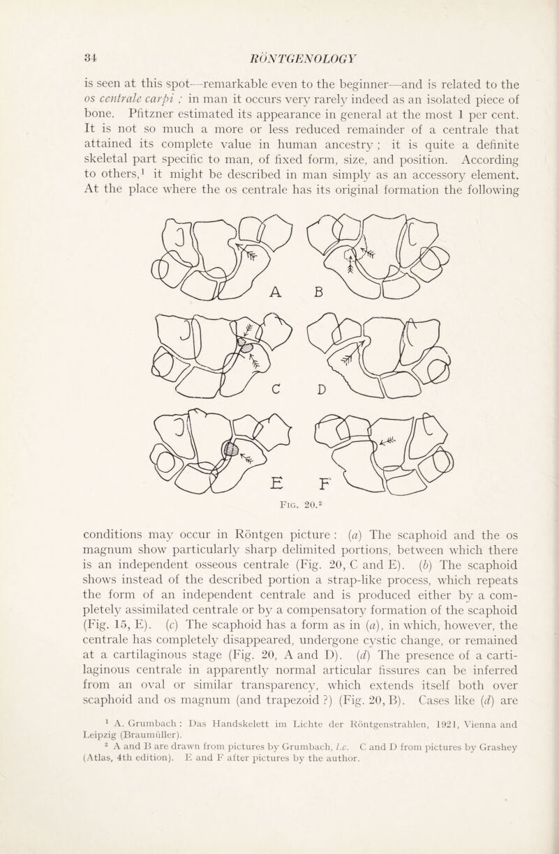 is seen at this spot—remarkable even to the beginner—and is related to the os centrale carpi ; in man it occurs very rarely indeed as an isolated piece of bone. Pfitzner estimated its appearance in general at the most 1 per cent. It is not so much a more or less reduced remainder of a centrale that attained its complete value in human ancestry ; it is quite a definite skeletal part specific to man, of fixed form, size, and position. According to others,1 2 it might be described in man simply as an accessory element. At the place where the os centrale has its original formation the following conditions may occur in Röntgen picture : (a) The scaphoid and the os magnum show particularly sharp delimited portions, between which there is an independent osseous centrale (Fig. 20, C and E). (b) The scaphoid shows instead of the described portion a strap-like process, which repeats the form of an independent centrale and is produced either by a com¬ pletely assimilated centrale or by a compensatory formation of the scaphoid (Fig. 15, E). (c) The scaphoid has a form as in (a), in which, however, the centrale has completely disappeared, undergone cystic change, or remained at a cartilaginous stage (Fig. 20, A and D). (d) The presence of a carti¬ laginous centrale in apparently normal articular fissures can be inferred from an oval or similar transparency, which extends itself both over scaphoid and os magnum (and trapezoid ?) (Fig. 20, B). Cases like (d) are 1 A. Grumbach : Das Handskelett im Lichte der Röntgenstrahlen, 1921, Vienna and Leipzig (Braumüller). 2 A and B are drawn from pictures by Grumbach, l.c. C and D from pictures by Grashey (Atlas, 4th edition). E and F after pictures by the author.