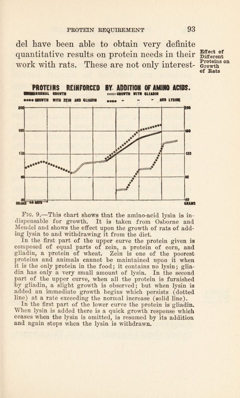 del have been able to obtain very definite quantitative results on protein needs in their work with rats. These are not only interest- PROTEINS REINFORCED BY ADDITION OF AMINO ACIDS. ■HBRORIIAL iftOWTH •Ml caOWTH WITH ZEIR MB 6LIA9JN timi eiWTH W8T» SLIABIN „„ .. *.  . AiB LTSIRE Fig. 9.—This chart shows that the amino-acid lysin is in¬ dispensable for growth. It is taken from Osborne and Mendel and shows the effect upon the growth of rats of add¬ ing lysin to and withdrawing it from the diet. In the first part of the upper curve the protein given is composed of equal parts of zein, a protein of corn, and gliadin, a protein of wheat. Zein is one of the poorest proteins and animals cannot be maintained upon it when it is the only protein in the food; it contains no lysin; glia¬ din has only a very small amount of lysin. In the second part of the upper curve, when all the protein is furnished by gliadin, a slight growth is observed; but when lysin is added an immediate growth begins which persists (dotted line) at a rate exceeding the normal increase (solid line). In the first part of the lower curve the protein is gliadin. When lysin is added there is a quick growth response which ceases when the lysin is omitted, is resumed by its addition and again stops when the lysin is withdrawn. Effect of Different Proteins on Growth of Rats