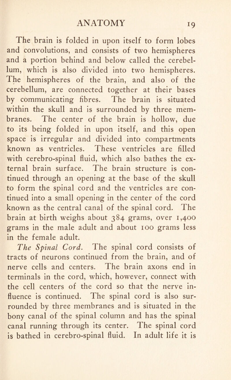 ANATOMY The brain is folded in upon itself to form lobes and convolutions, and consists of two hemispheres and a portion behind and below called the cerebel¬ lum, which is also divided into two hemispheres. The hemispheres of the brain, and also of the cerebellum, are connected together at their bases by communicating fibres. The brain is situated within the skull and is surrounded by three mem¬ branes. The center of the brain is hollow, due to its being folded in upon itself, and this open space is irregular and divided into compartments known as ventricles. These ventricles are filled with cerebro-spinal fluid, which also bathes the ex¬ ternal brain surface. The brain structure is con¬ tinued through an opening at the base of the skull to form the spinal cord and the ventricles are con¬ tinued into a small opening in the center of the cord known as the central canal of the spinal cord. The brain at birth weighs about 384 grams, over 1,400 grams in the male adult and about 100 grams less in the female adult. The Spinal Cord. The spinal cord consists of tracts of neurons continued from the brain, and of nerve cells and centers. The brain axons end in terminals in the cord, which, however, connect with the cell centers of the cord so that the nerve in¬ fluence is continued. The spinal cord is also sur¬ rounded by three membranes and is situated in the bony canal of the spinal column and has the spinal canal running through its center. The spinal cord is bathed in cerebro-spinal fluid. In adult life it is