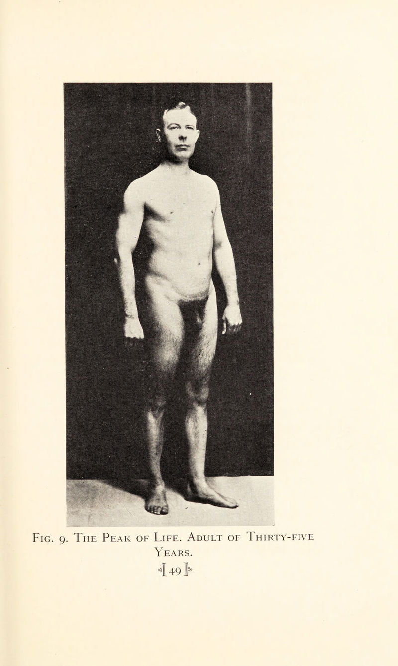Fig. 9. The Peak of Life. Adult of Thirty-five Years.