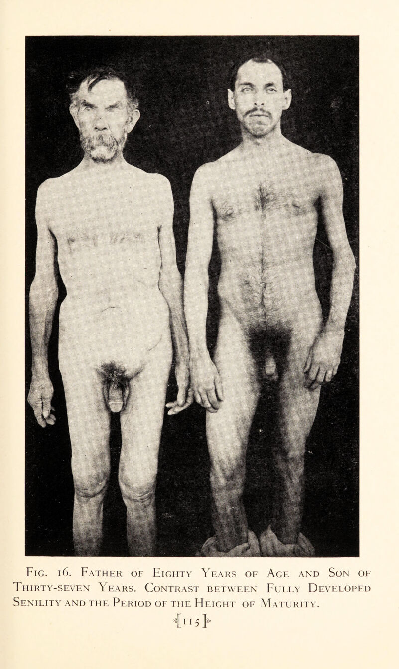 Thirty-seven Years. Contrast between Fully Developed Senility and the Period of the FIeight of Maturity. °8[ I 15 ]°°