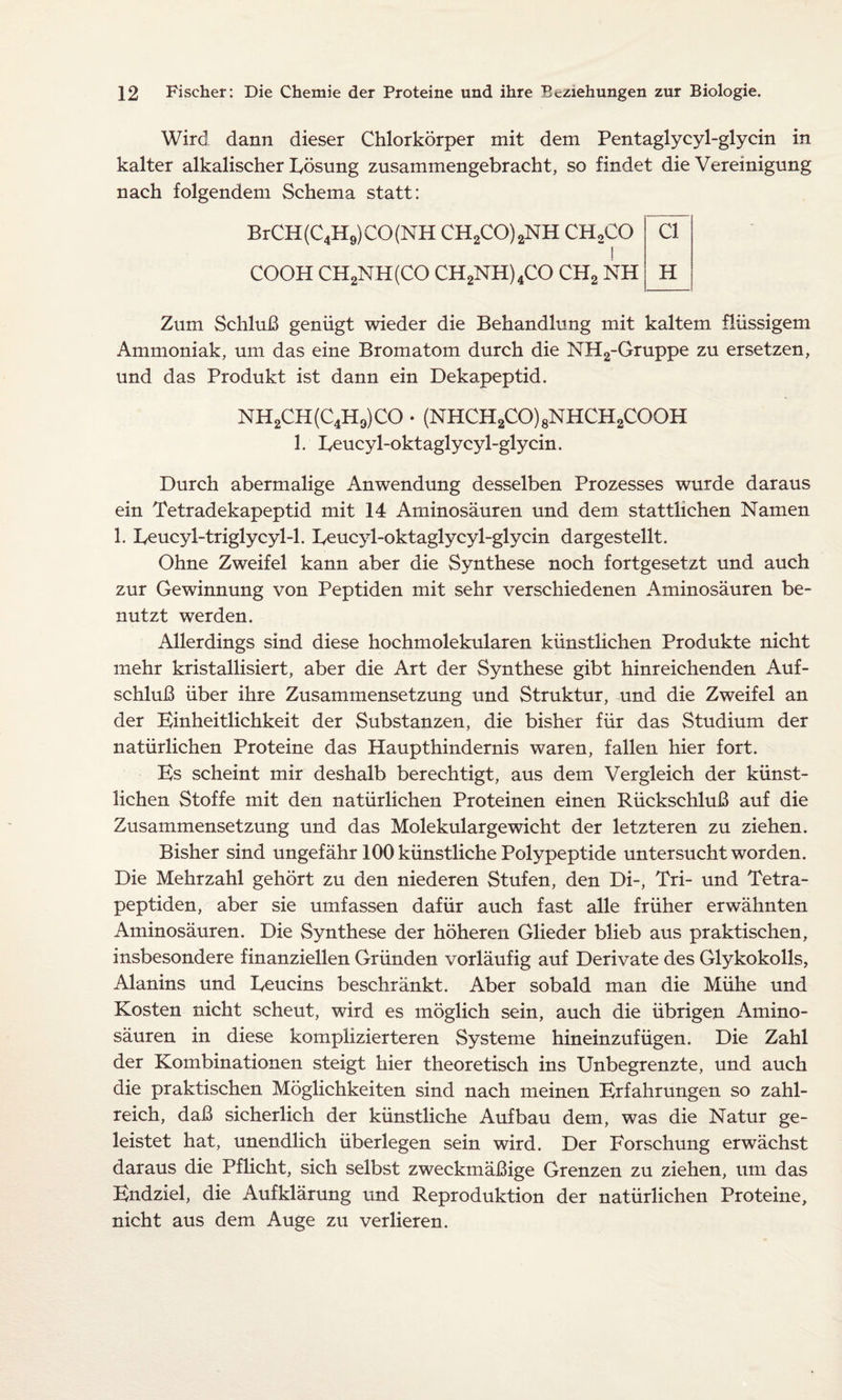 Wird dann dieser Chlorkörper mit dem Pentaglycyl-glycin in kalter alkalischer Eösung zusammengebracht, so findet die Vereinigung nach folgendem Schema statt: BrCH (C4H9) CO (NH CH2CO)2NH CHoCO I COOH CH2NH(CO CH2NH)4CO CH2 NH Zum Schluß genügt wieder die Behandlung mit kaltem flüssigem Ammoniak, um das eine Bromatom durch die NH2-Gruppe zu ersetzen, und das Produkt ist dann ein Dekapeptid. NH2CH(C4H9)CO . (NHCH2CO)8NHCH2COOH 1. Eeucyl-oktaglycyl-glycin. Durch abermalige Anwendung desselben Prozesses wurde daraus ein Tetradekapeptid mit 14 Aminosäuren und dem stattlichen Namen 1. Ceucyl-triglycyl-1. Eeucyl-oktaglycyl-glycin dargestellt. Ohne Zweifel kann aber die Synthese noch fortgesetzt und auch zur Gewinnung von Peptiden mit sehr verschiedenen Aminosäuren be¬ nutzt werden. Allerdings sind diese hochmolekularen künstlichen Produkte nicht mehr kristallisiert, aber die Art der Synthese gibt hinreichenden Auf¬ schluß über ihre Zusammensetzung und Struktur, und die Zweifel an der Einheitlichkeit der Substanzen, die bisher für das Studium der natürlichen Proteine das Haupthindernis waren, fallen hier fort. Es scheint mir deshalb berechtigt, aus dem Vergleich der künst¬ lichen Stoffe mit den natürlichen Proteinen einen Rückschluß auf die Zusammensetzung und das Molekulargewicht der letzteren zu ziehen. Bisher sind ungefähr 100 künstliche Polypeptide untersucht worden. Die Mehrzahl gehört zu den niederen Stufen, den Di-, Tri- und Tetra¬ peptiden, aber sie umfassen dafür auch fast alle früher erwähnten Aminosäuren. Die Synthese der höheren Glieder blieb aus praktischen, insbesondere finanziellen Gründen vorläufig auf Derivate des Glykokolls, Alanins und Eeucins beschränkt. Aber sobald man die Mühe und Kosten nicht scheut, wird es möglich sein, auch die übrigen Amino¬ säuren in diese komplizierteren Systeme hineinzufügen. Die Zahl der Kombinationen steigt hier theoretisch ins Unbegrenzte, und auch die praktischen Möglichkeiten sind nach meinen Erfahrungen so zahl¬ reich, daß sicherlich der künstliche Aufbau dem, was die Natur ge¬ leistet hat, unendlich überlegen sein wird. Der Forschung erwächst daraus die Pflicht, sich selbst zweckmäßige Grenzen zu ziehen, um das Endziel, die Aufklärung und Reproduktion der natürlichen Proteine, nicht aus dem Auge zu verlieren. CI H