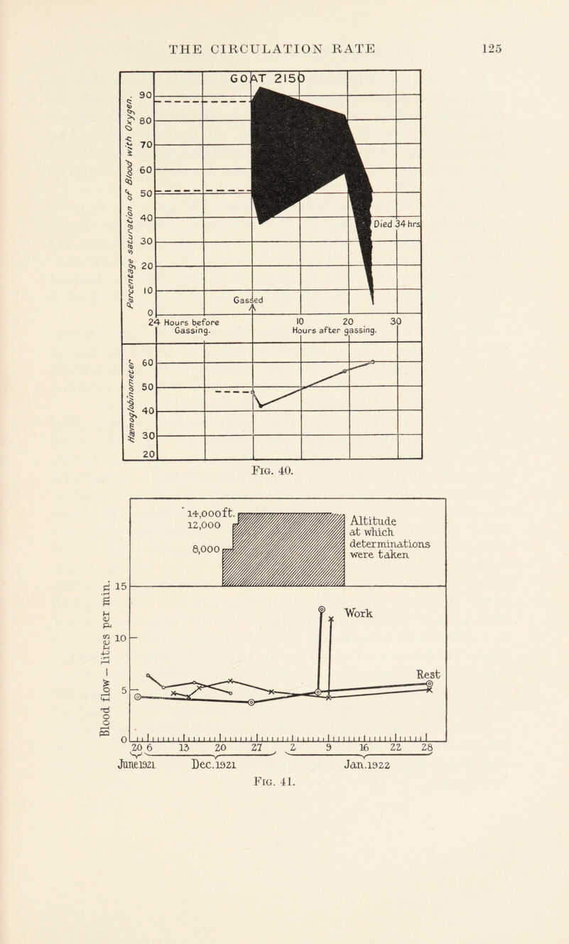 Died 54 hrs 24 Hours before 30 Gassing. Ho urs after g assing. 1 50 1 t 40 £ $ 30 20 Fig. 40. Fig. 41.