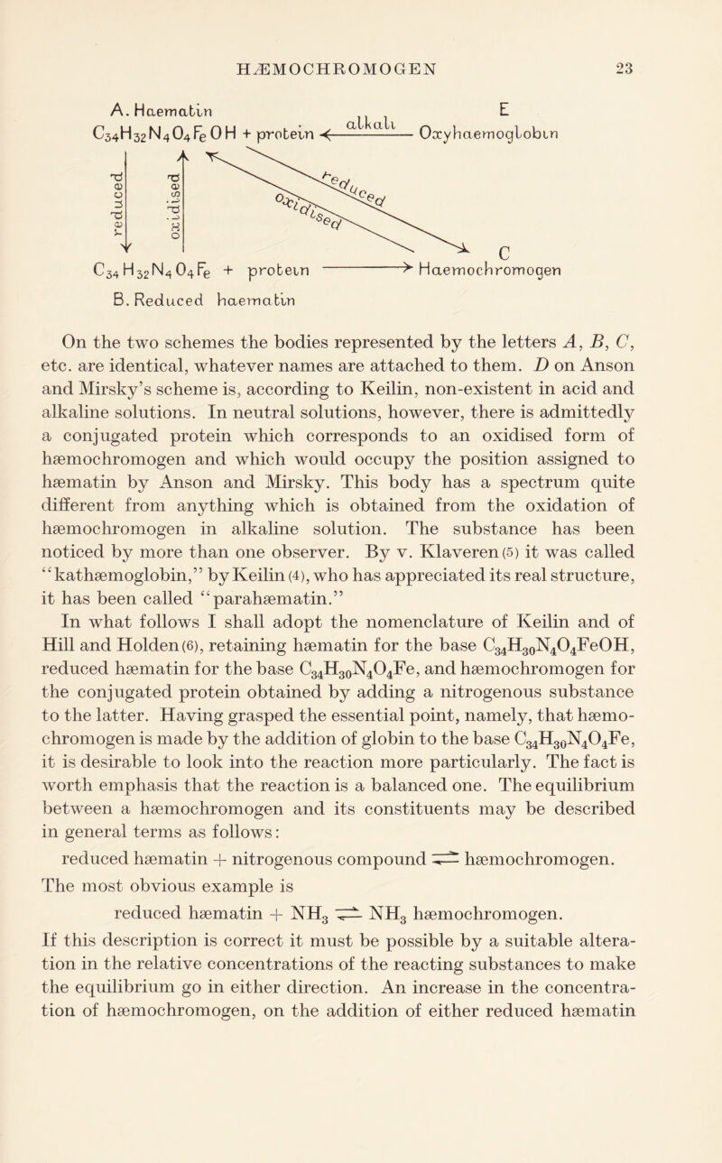 A. Haematin C54H32N404Fe0H + protein •<- alkali Oocy haemoglobin C34 H32N4 04Fe + protein ^ Haemochromogen B. Reduced haematin On the two schemes the bodies represented by the letters A, B, C, etc. are identical, whatever names are attached to them. D on Anson and Mirsky’s scheme is, according to Keilin, non-existent in acid and alkaline solutions. In neutral solutions, however, there is admittedly a conjugated protein which corresponds to an oxidised form of haemochromogen and which would occupy the position assigned to haematin by Anson and Mirsky. This body has a spectrum quite different from anything which is obtained from the oxidation of haemochromogen in alkaline solution. The substance has been noticed by more than one observer. By v. Klaveren(5) it was called <£kathaemoglobin,” by Keilin (4), who has appreciated its real structure, it has been called “parahaematin.” In what follows I shall adopt the nomenclature of Keilin and of Hill and Holden(6), retaining haematin for the base C34H30N4O4FeOH, reduced haematin for the base C34H30N4O4Fe, and haemochromogen for the conjugated protein obtained by adding a nitrogenous substance to the latter. Having grasped the essential point, namely, that haemo¬ chromogen is made by the addition of globin to the base C34H30N4O4Fe, it is desirable to look into the reaction more particularly. The fact is worth emphasis that the reaction is a balanced one. The equilibrium between a haemochromogen and its constituents may be described in general terms as follows: reduced haematin + nitrogenous compound haemochromogen. The most obvious example is reduced haematin + NH3 NH3 haemochromogen. If this description is correct it must be possible by a suitable altera¬ tion in the relative concentrations of the reacting substances to make the equilibrium go in either direction. An increase in the concentra¬ tion of haemochromogen, on the addition of either reduced haematin
